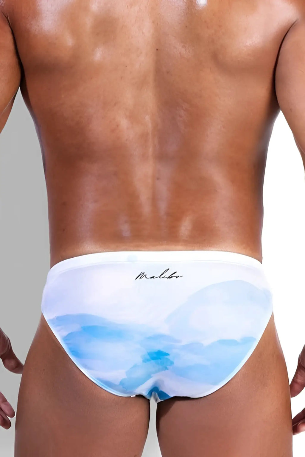 White men’s lovesick briefs swim trunks with watercolor blue mountain design and malibu embroidered logo