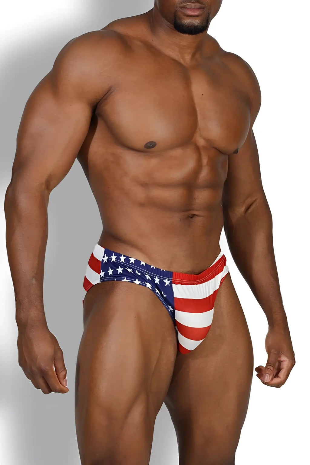 Lovesick Briefs USA patriotic briefs with red white and blue stars and stripes perfect for festive wear