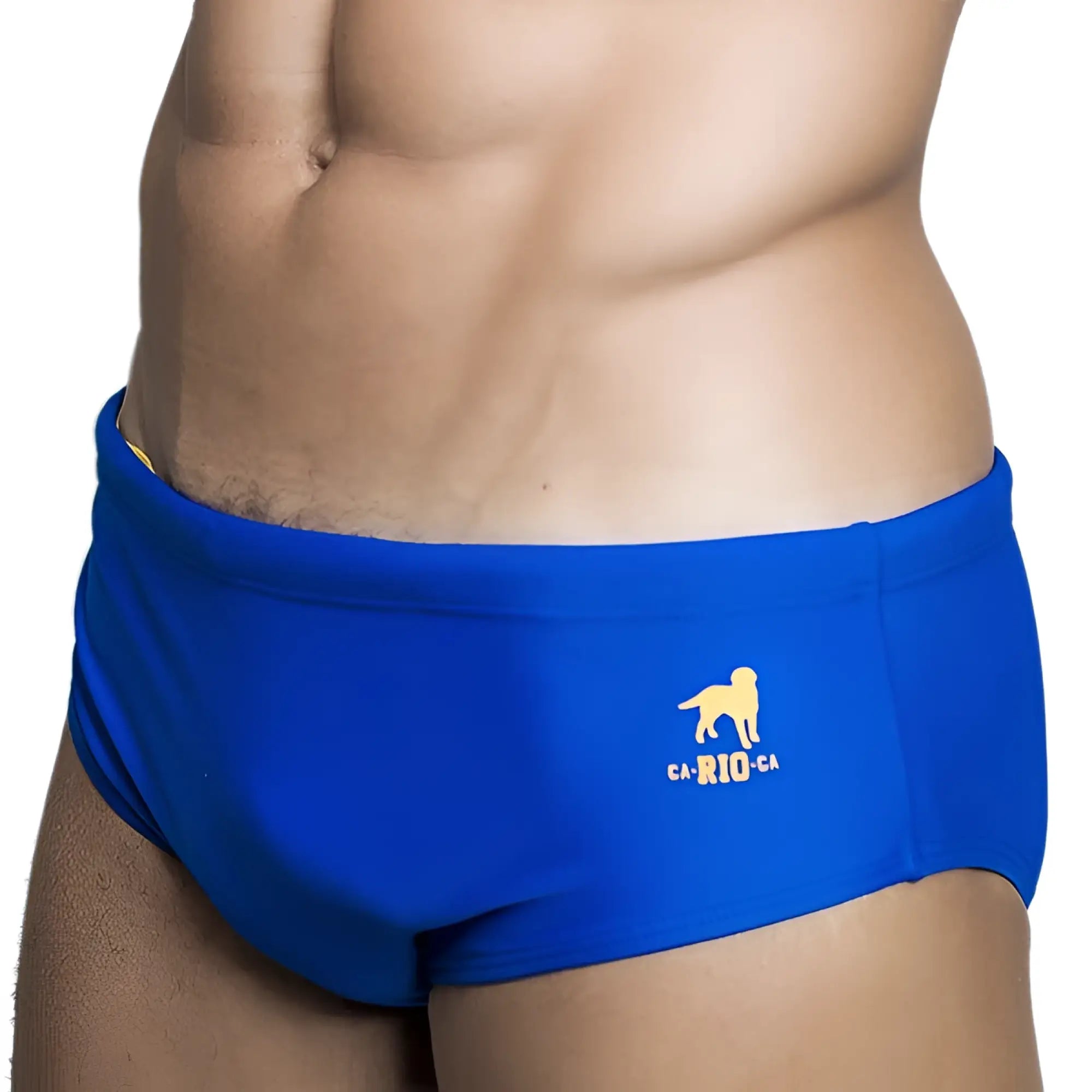 Low rise solids cut sunga male bathing suit in bright blue with gold dog logo and ca rio ca text on front