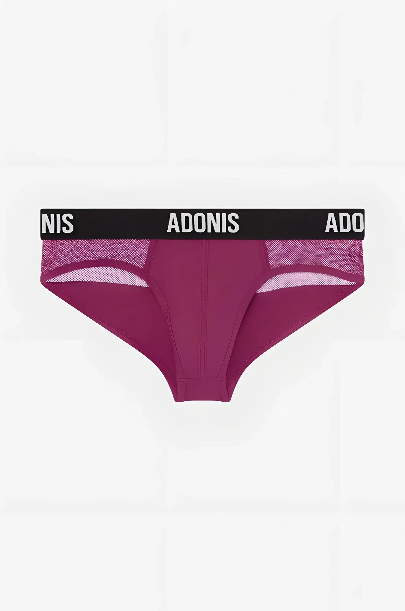 A pair of luxe red plum adonis briefs with black elastic waistband, white lettering, and mesh side panels