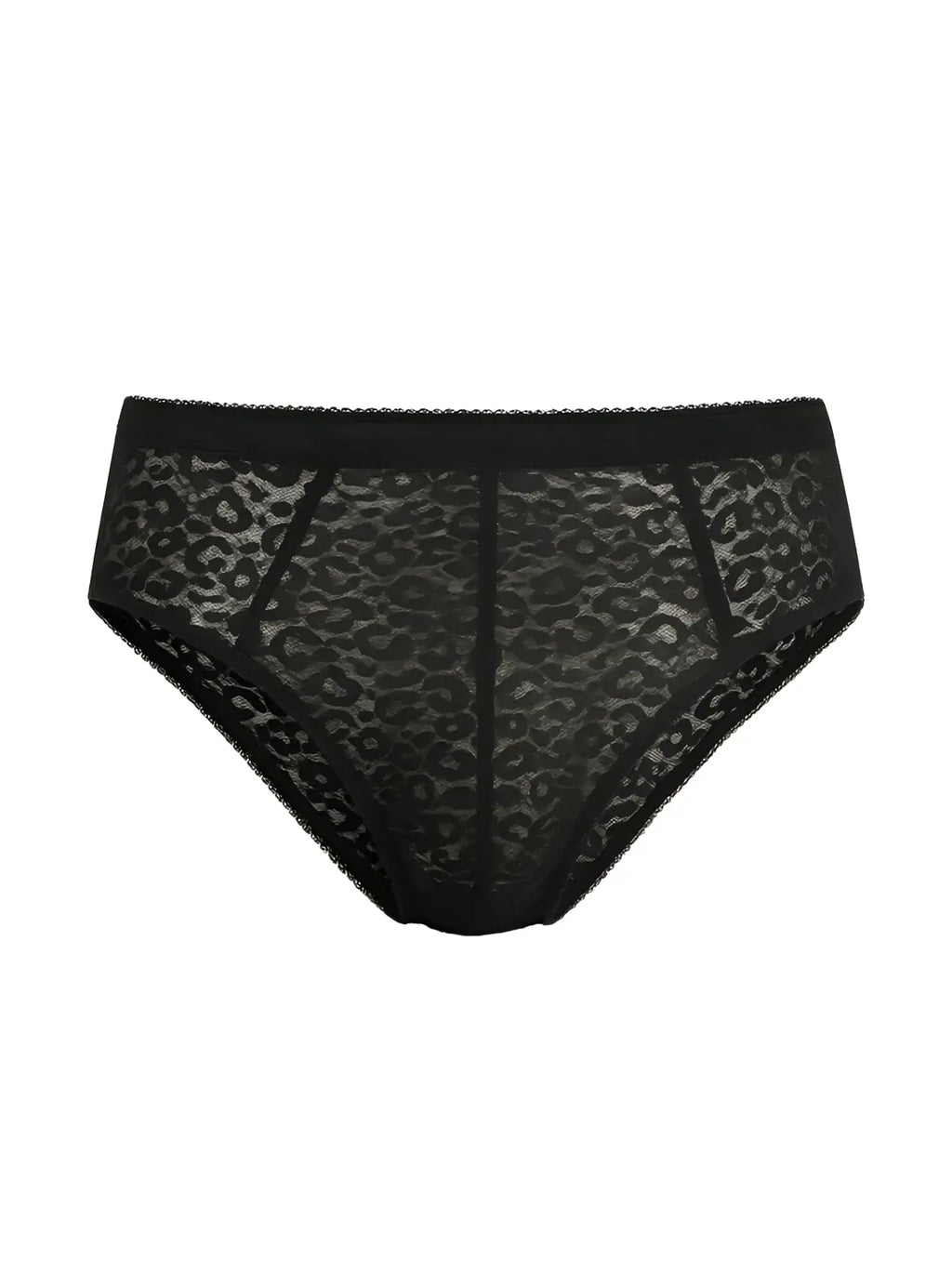 Luxury lace brief featuring black leopard-print lace with a solid black waistband for elegant comfort