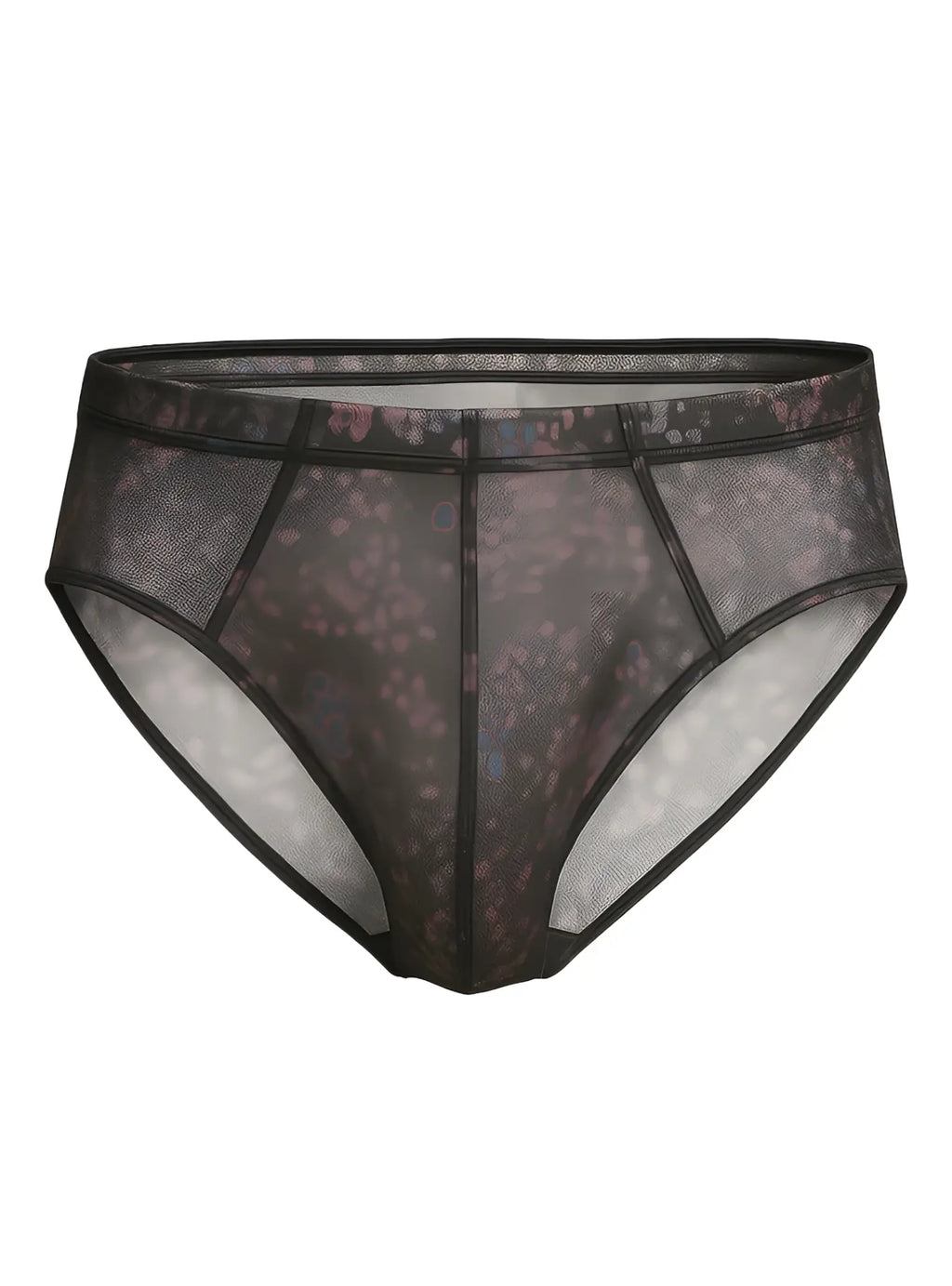 Luxury lace brief in black sheer mesh with subtle floral pattern and reinforced seams for elegant comfort