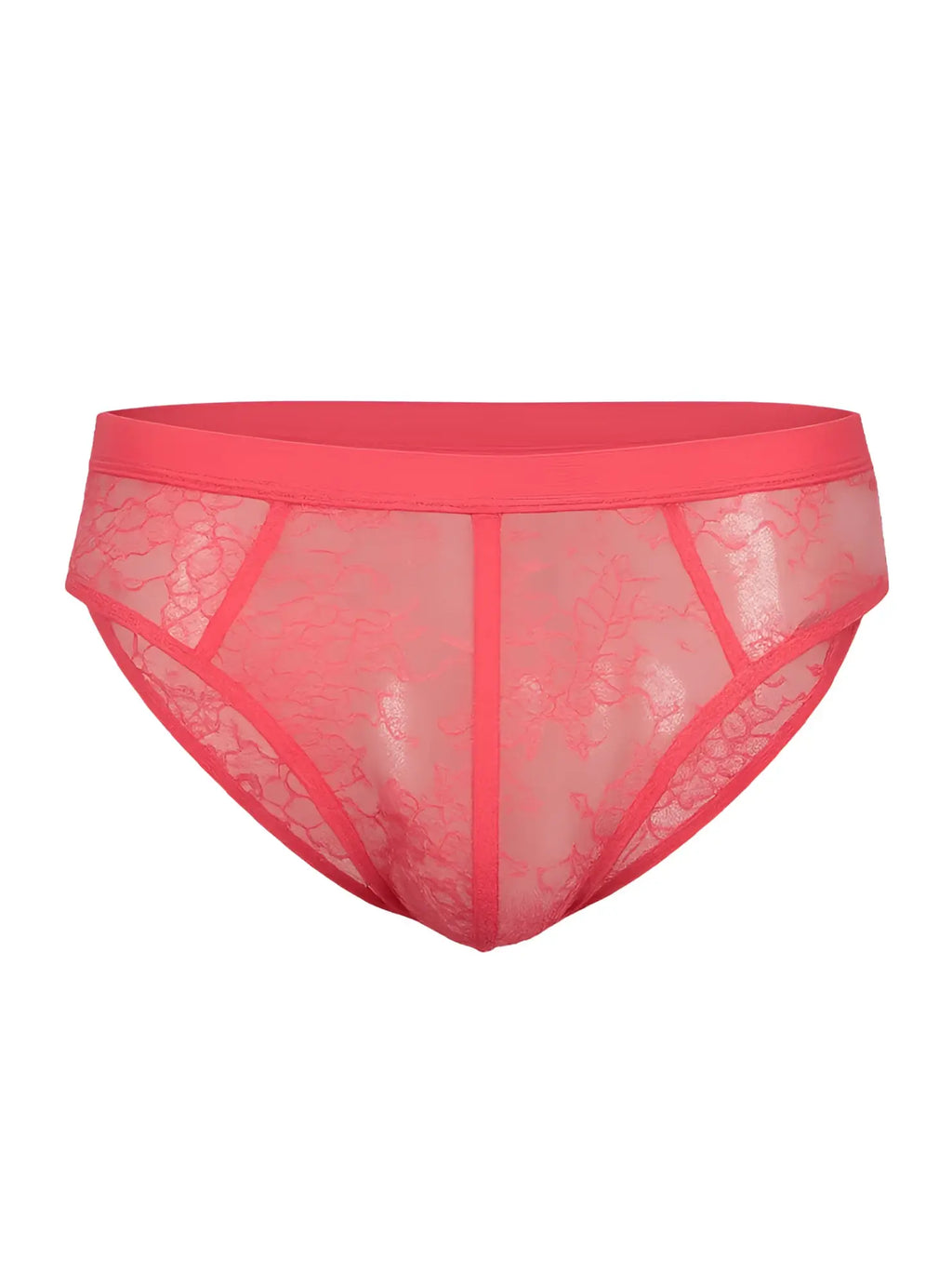 Coral pink luxury lace briefs featuring a solid waistband and sheer patterned fabric for elegant comfort