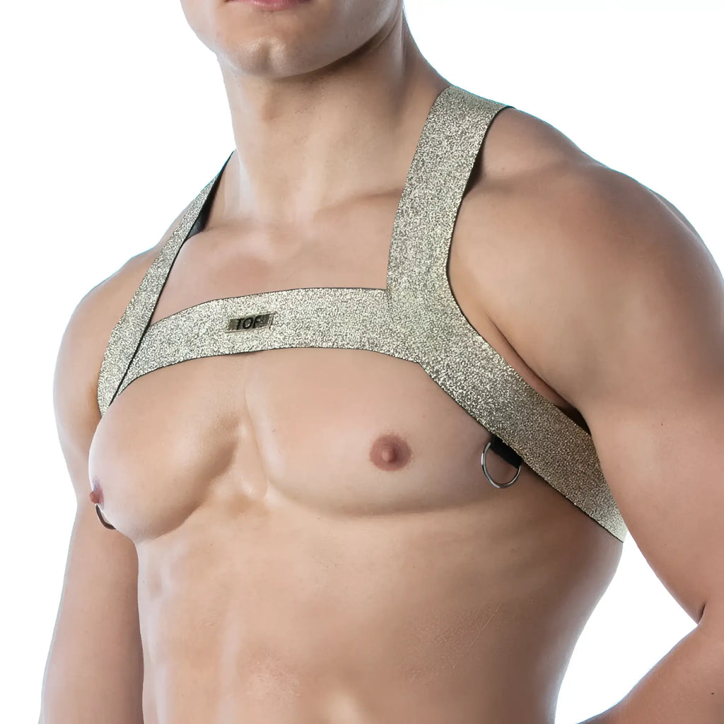 Magic h harness shiny gold glittery harness with black trim and metal rings for stylish edgy looks