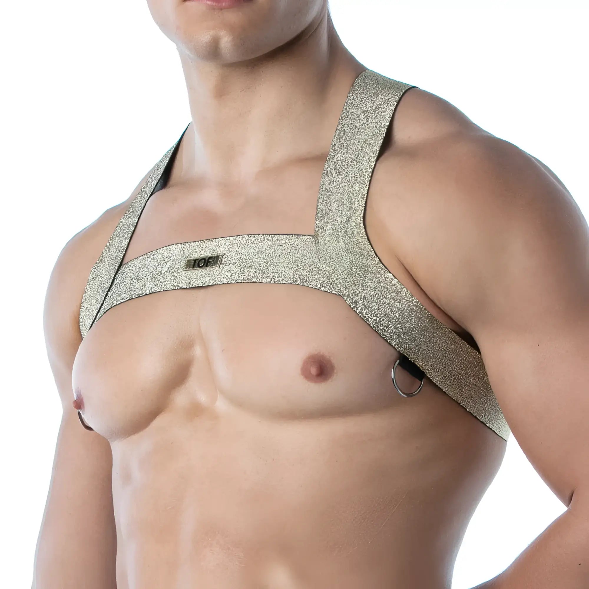 Magic h harness shiny gold glittery harness with black trim and metal rings for stylish edgy looks