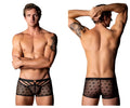 Black sheer star-patterned men’s briefs with black elastic waistband front panel design male power 122-291 love star short