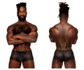 Black lace male power 127-280 sassy lace mini short sheer pouch with intricate floral waistband detailing