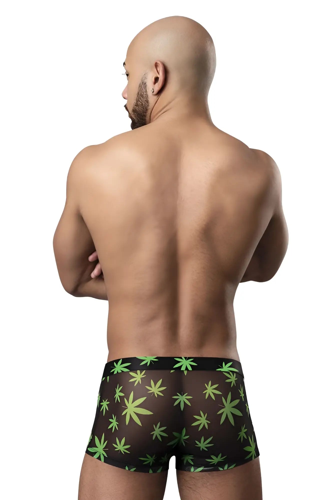Male power 145-294 hazy dayz black sheer boxer briefs with vibrant green cannabis leaf pattern pouch short