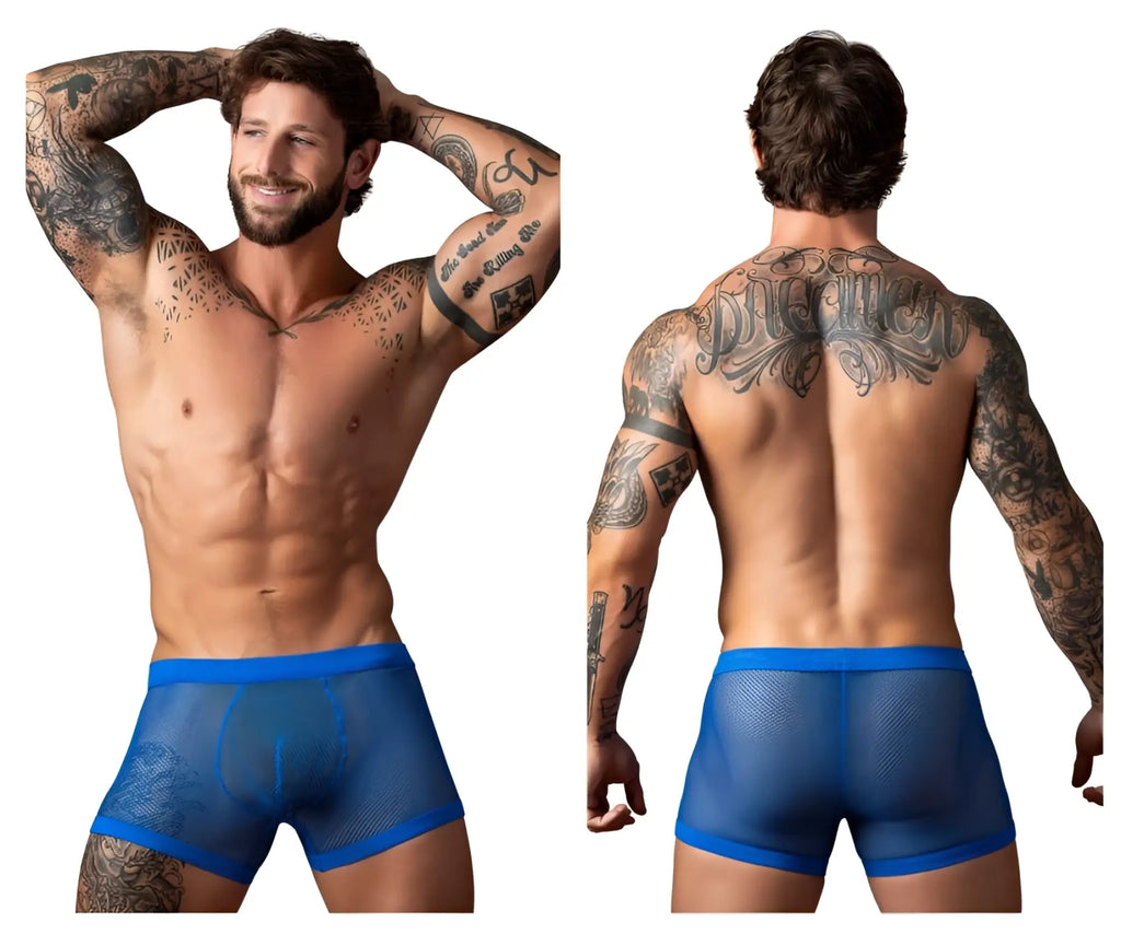 Blue mesh briefs with solid blue waistband male power 152-11c fishnet 2 pouch short in royal color