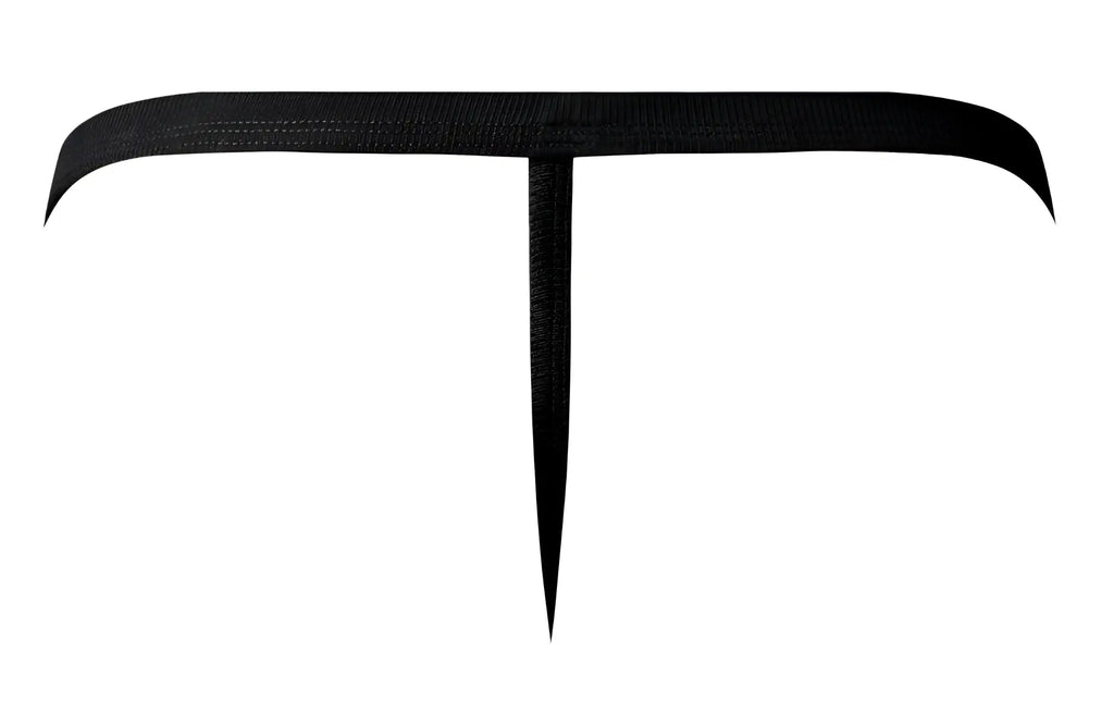 Male power 449-11c fishnet 2 g-string in black with a textured reptile-skin finish t-shaped belt shown from the back