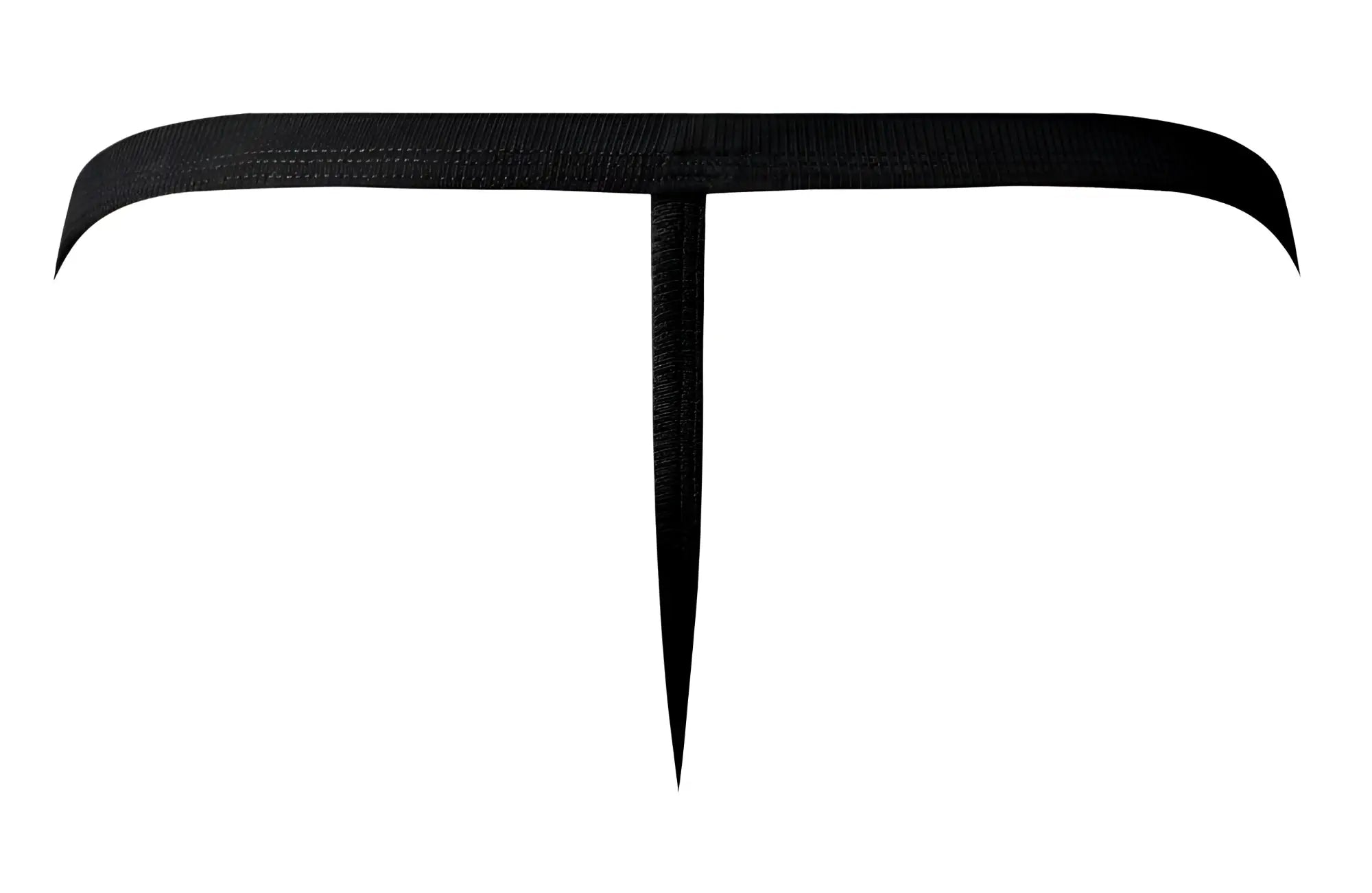 Male power 449-11c fishnet 2 g-string in black with a textured reptile-skin finish t-shaped belt shown from the back