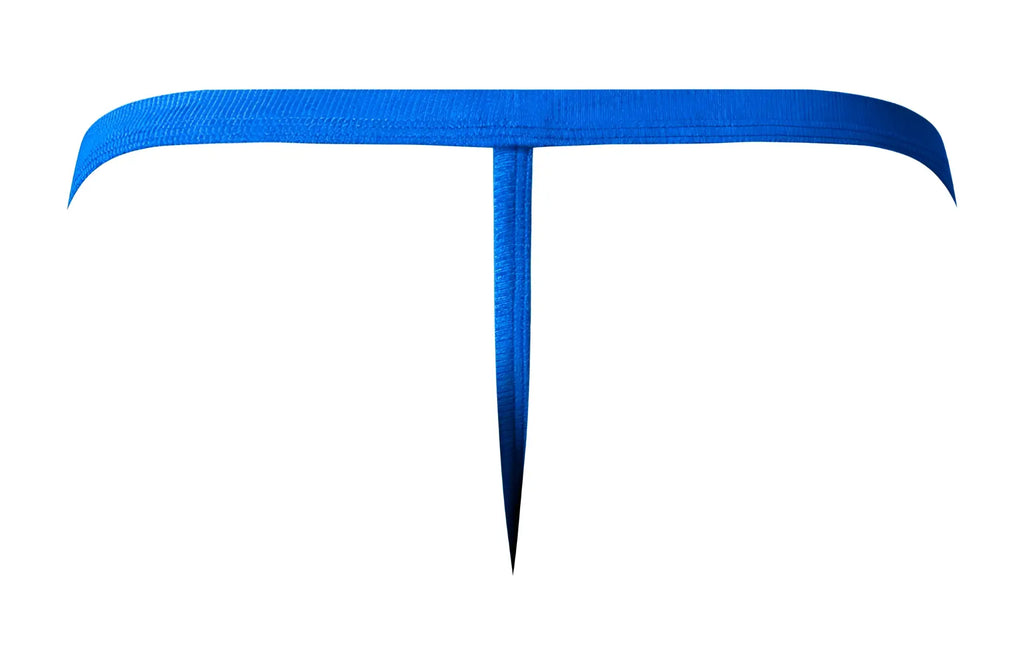 Male power 449-11c fishnet 2 g-string in royal blue with bright textured fabric and sleek t-shaped design shown from the back