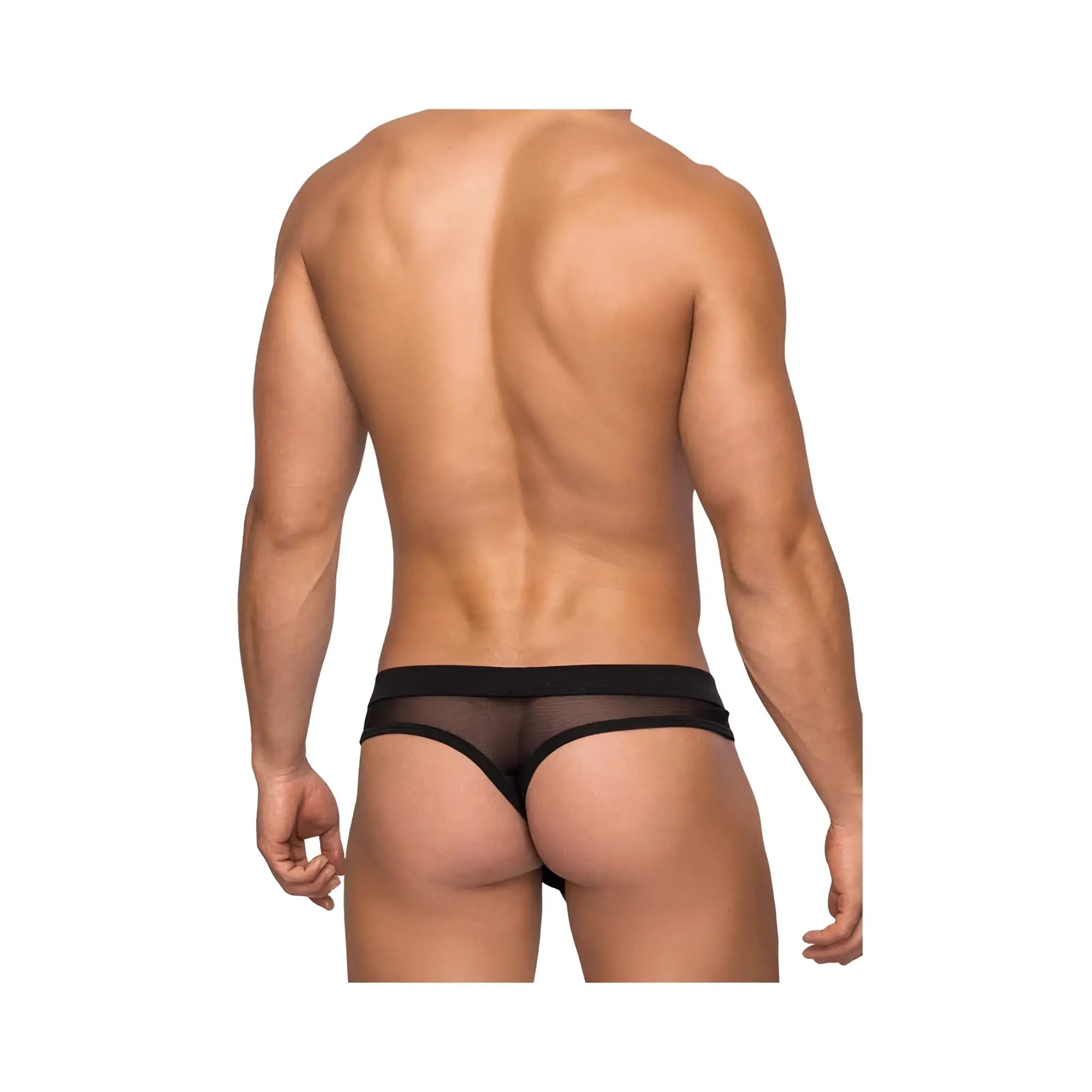 Male power hoser hose thong black s m sheer black mesh thong with solid black waistband front view