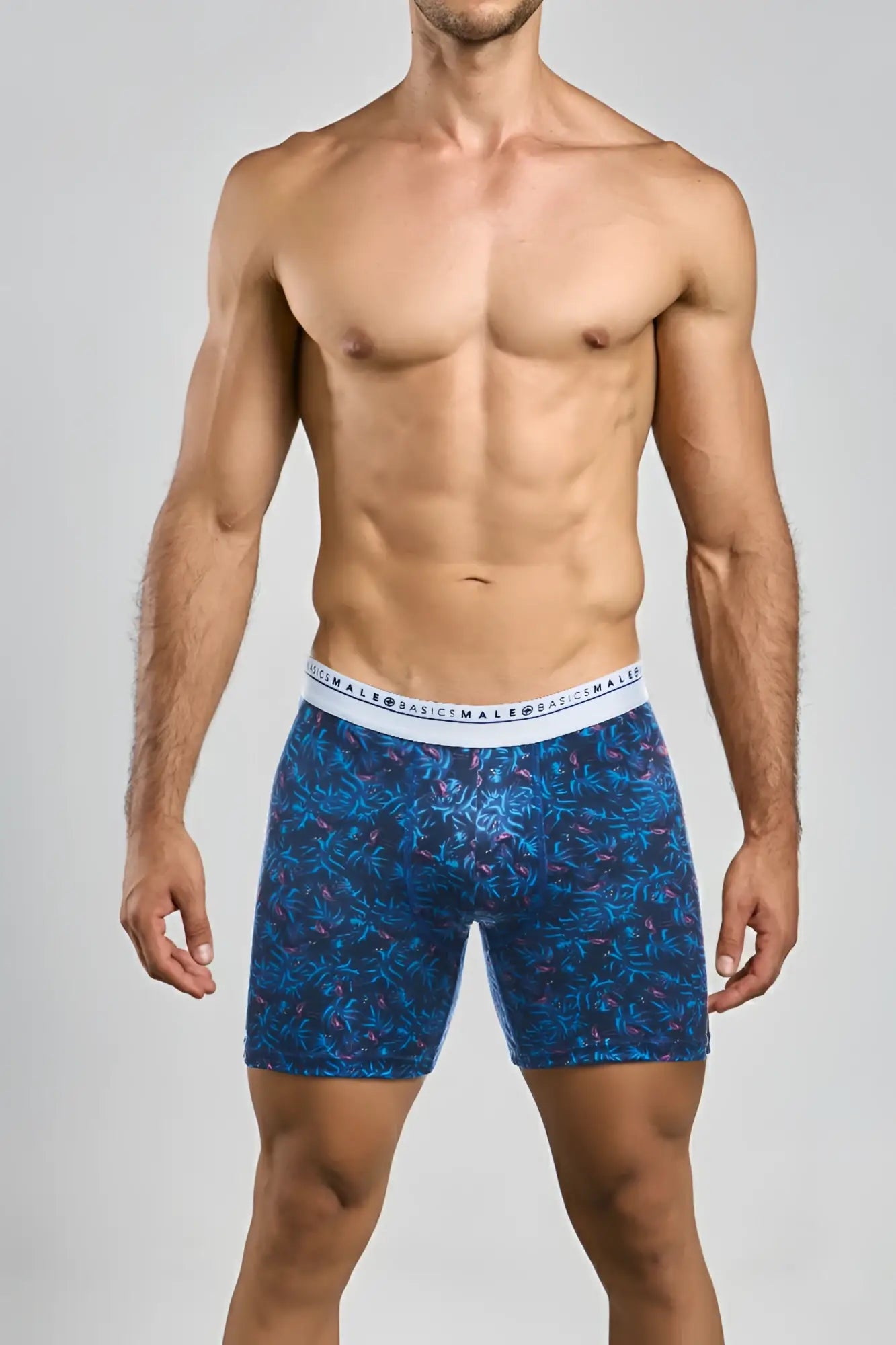 Blue patterned malebasics boxerbrief flamingos with white original basics male branded waistband