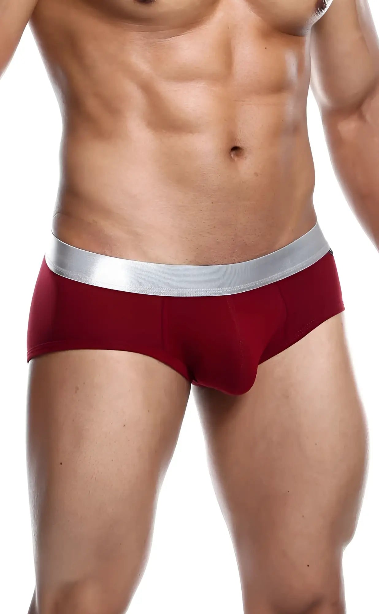Red athletic briefs with silver elastic waistband made from pima cotton for comfortable male basics underwear