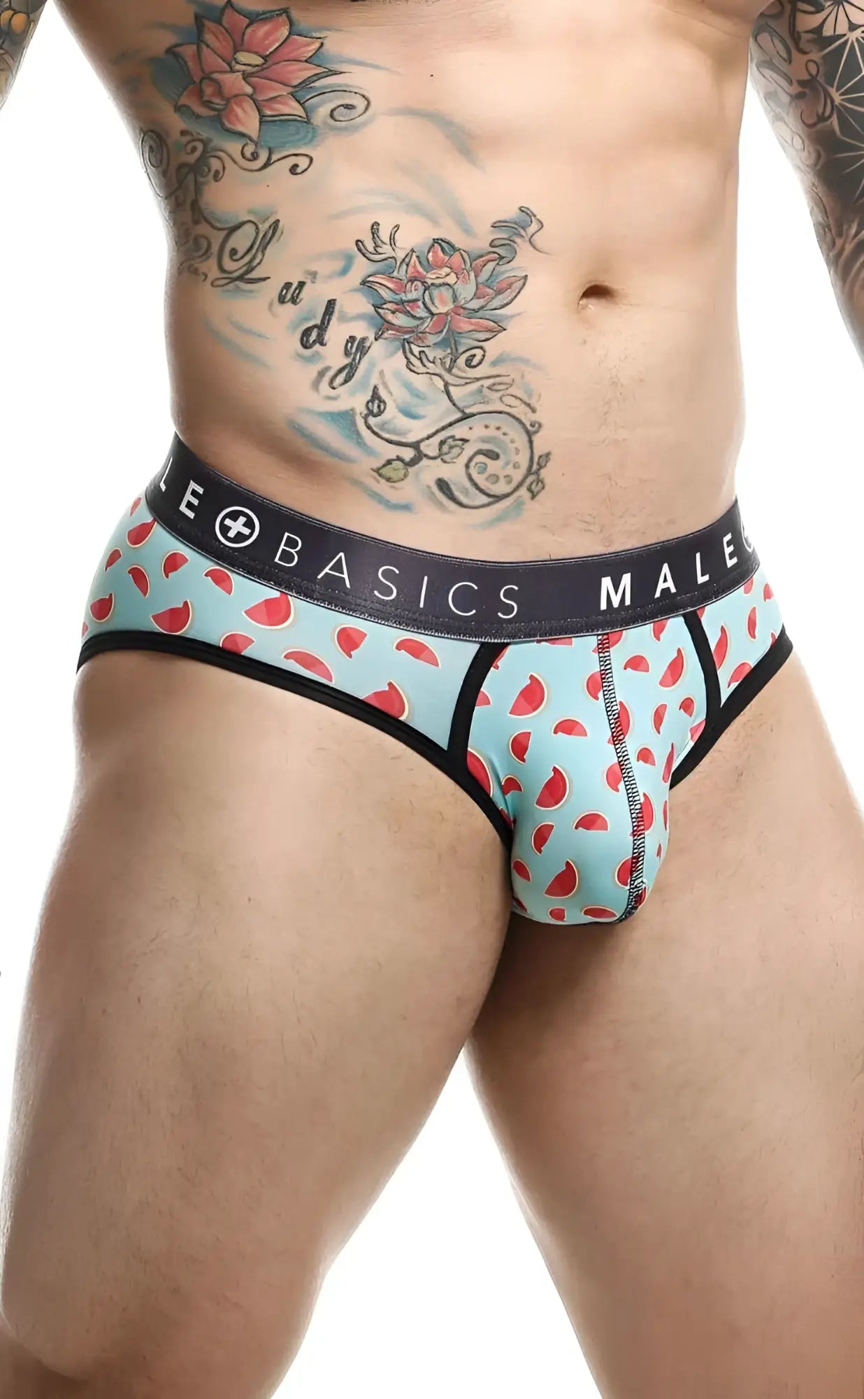 Malebasics brief sexy pouch light blue watermelon patterned men’s underwear with black trim and dark gray waistband