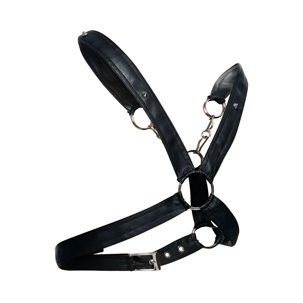 Malebasics dmbl09 dngeon black leather harness with silver metal rings and buckle for men