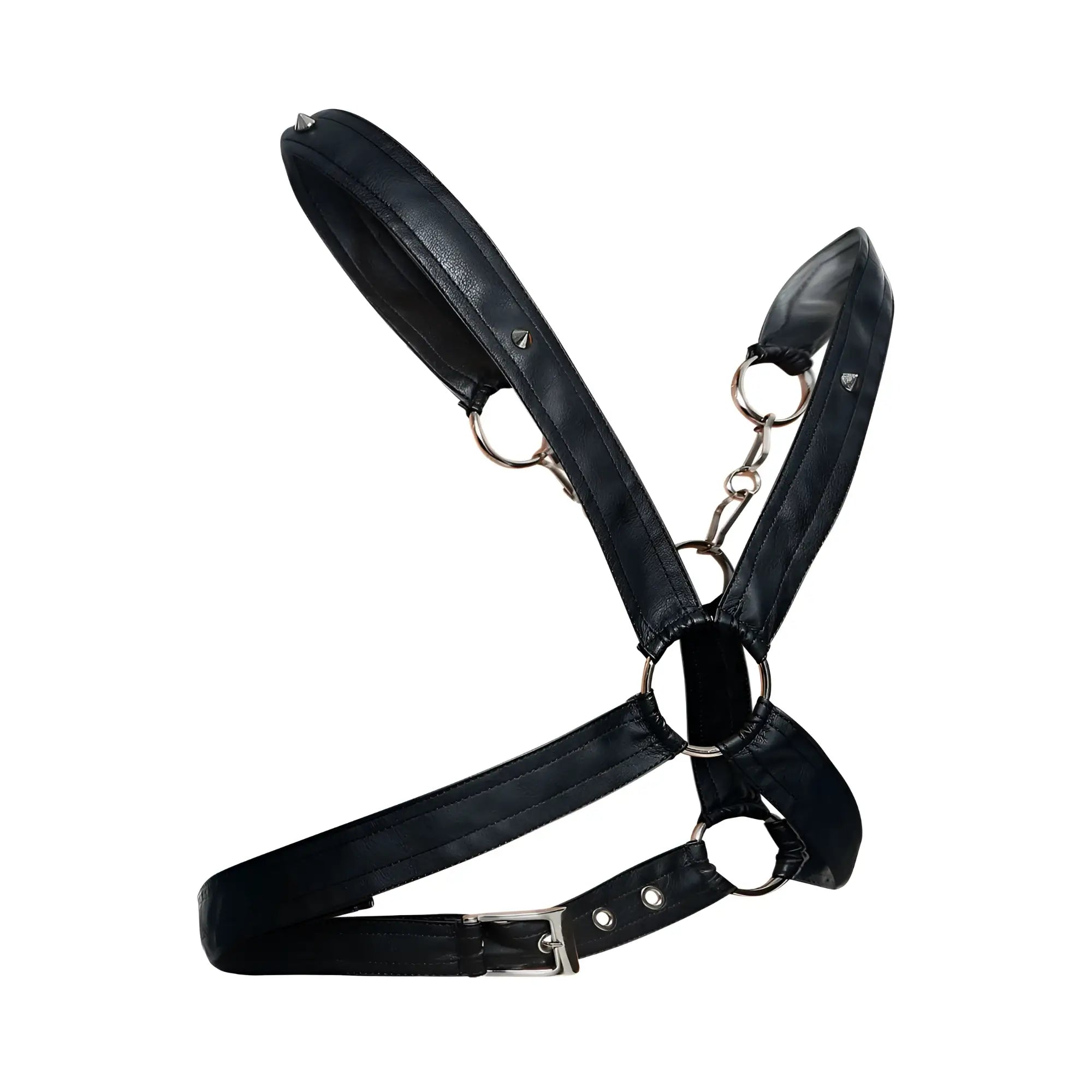 Malebasics dmbl09 dngeon black leather harness with silver metal rings and buckle for men