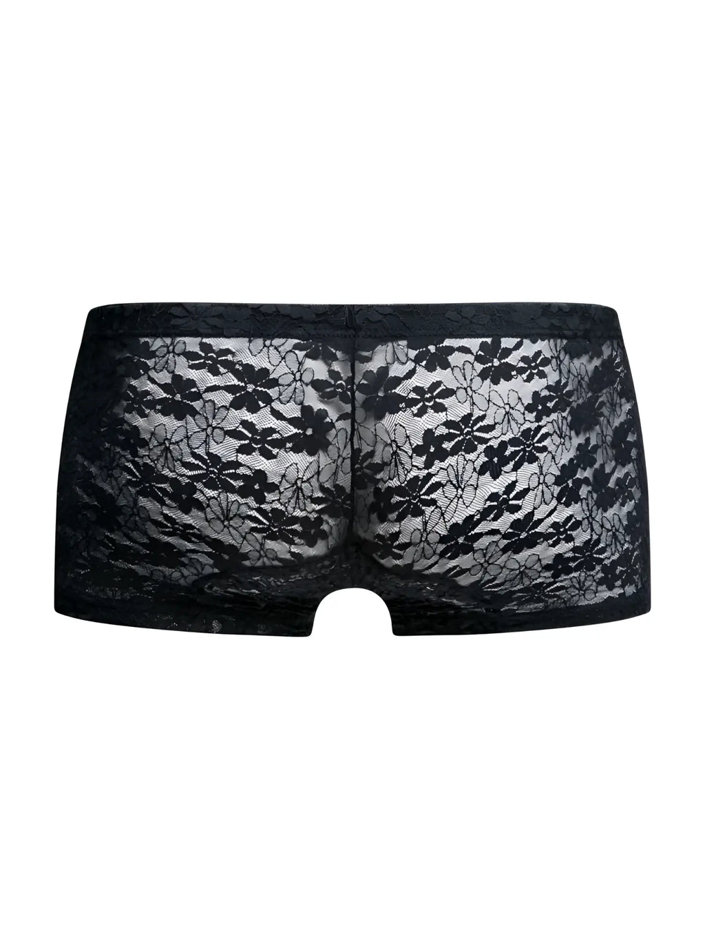 Malebasics mbl78 lace trunks in black featuring sheer delicate floral lace underwear design