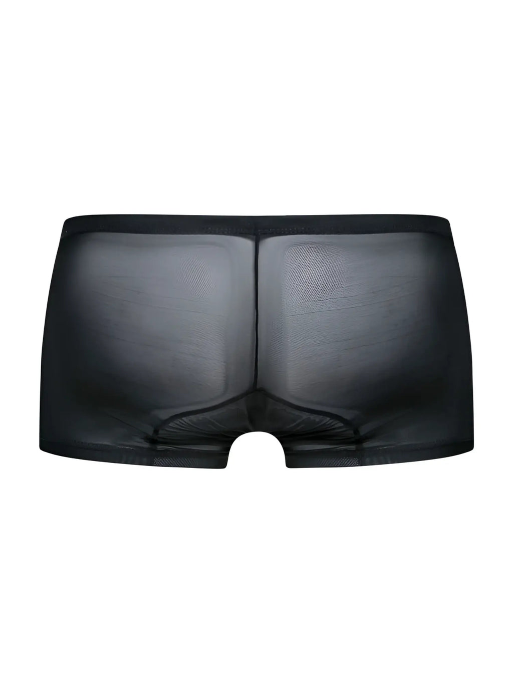 Malebasics mbl78 lace trunks in black sheer mesh briefs with a smooth form fitting design shown from the back side