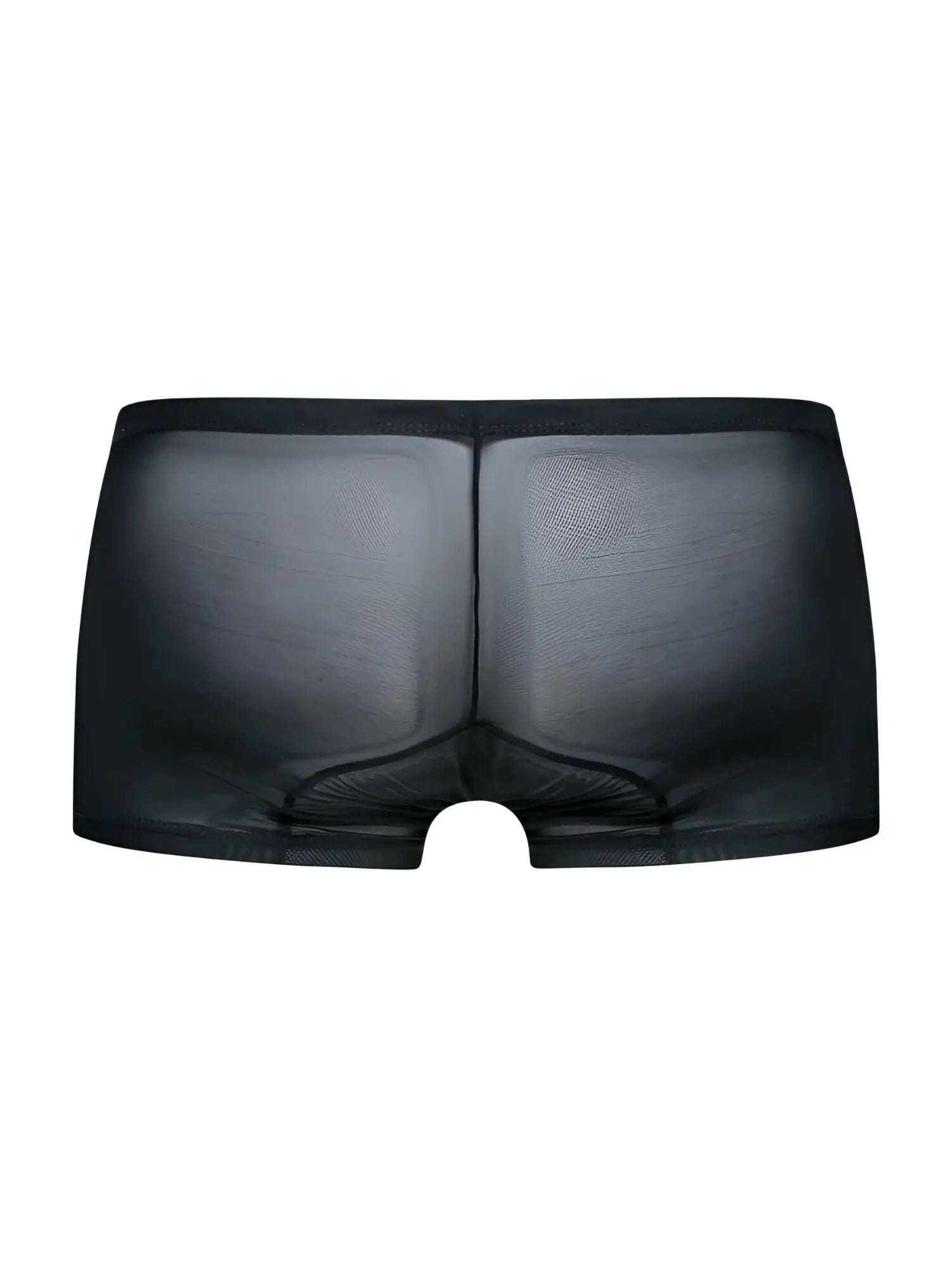 Malebasics mbl78 lace trunks in black sheer mesh briefs with a smooth form fitting design shown from the back side
