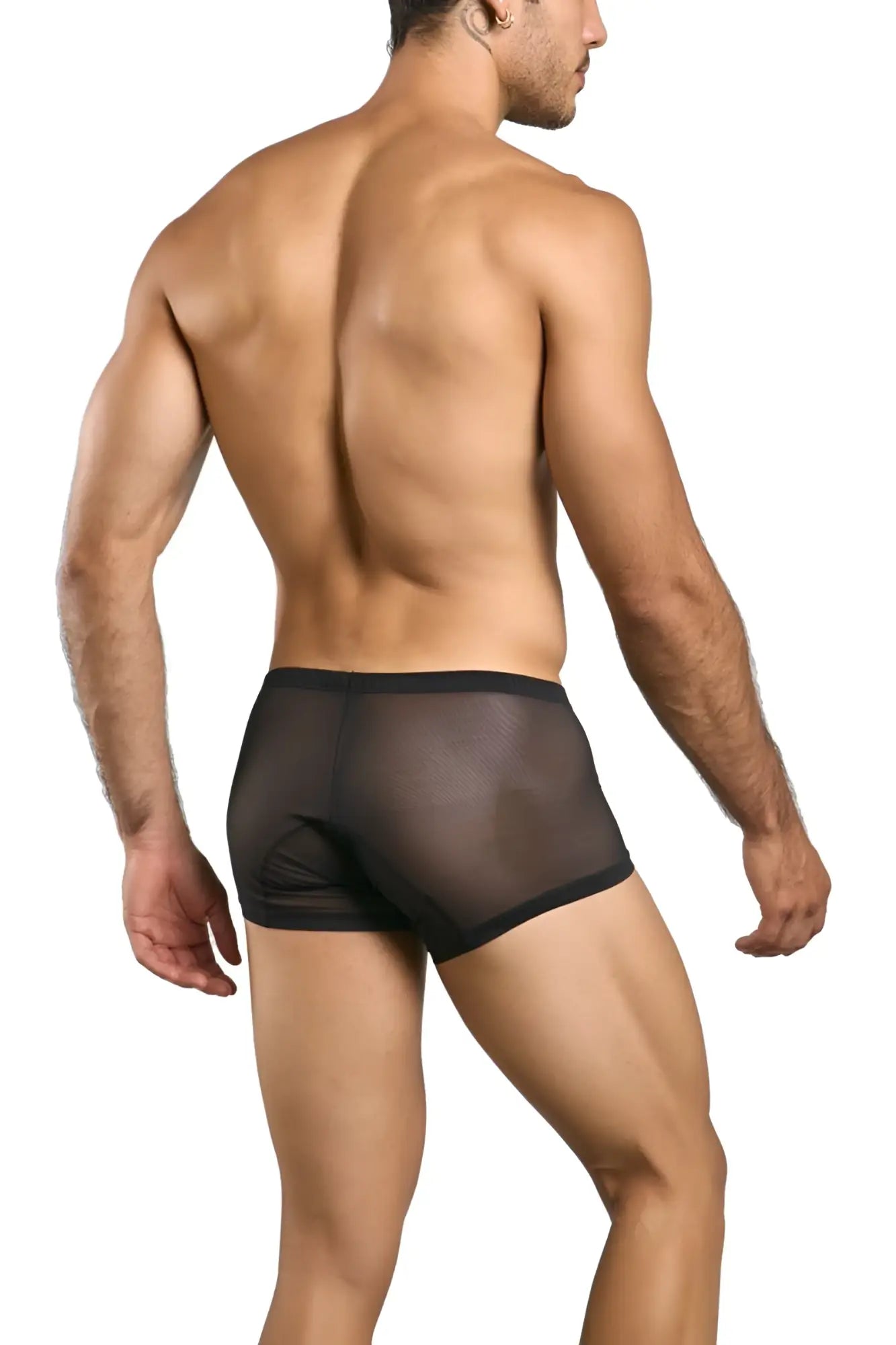 Black sheer mesh briefs with solid black waistband from malebasics mbl78 lace trunks color black mesh