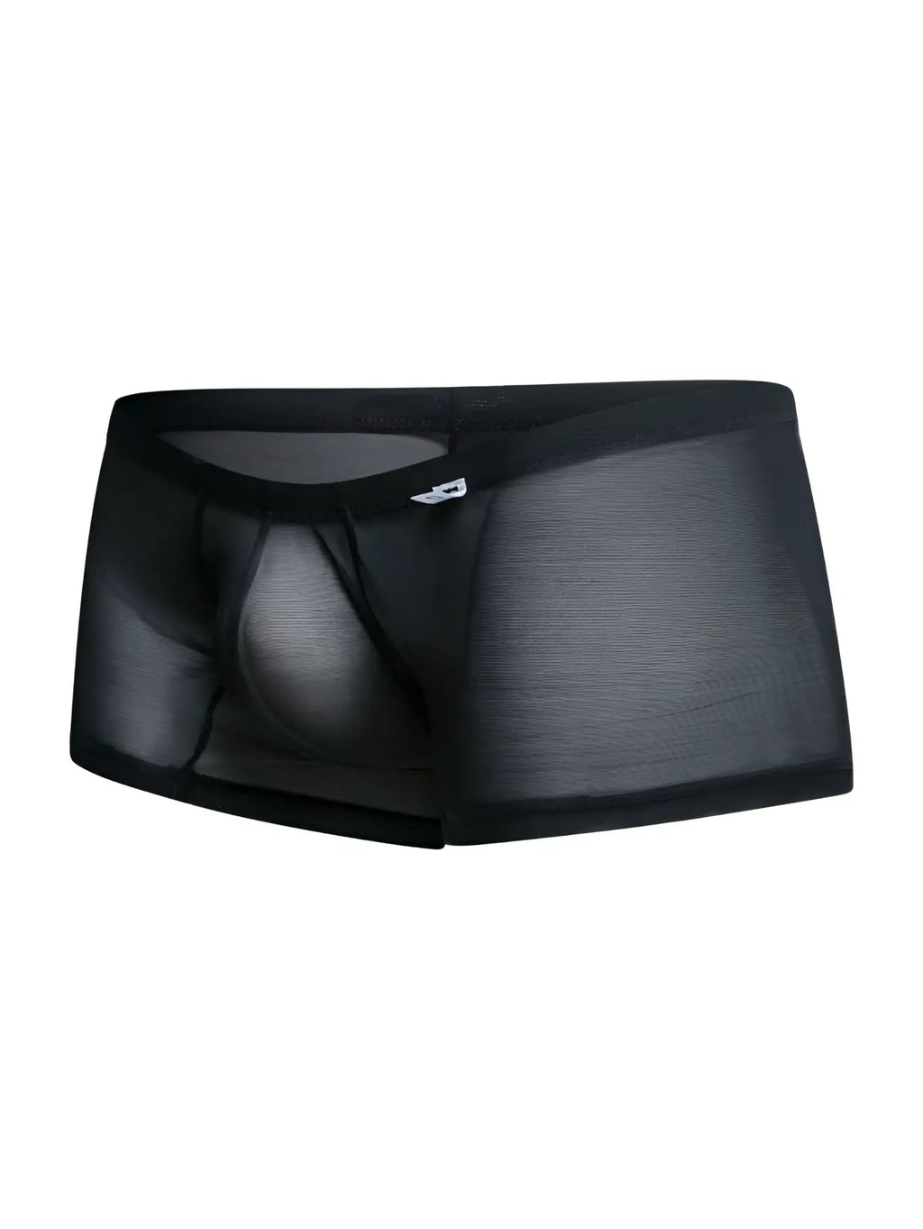 Black sheer mesh malebasics mbl78 lace trunks with solid waistband and subtle side branding in black mesh