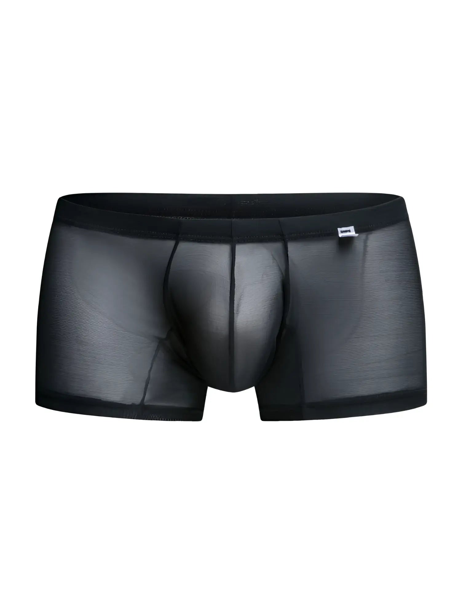 Malebasics mbl78 lace trunks black sheer mesh briefs with solid waistband and reinforced seams front view