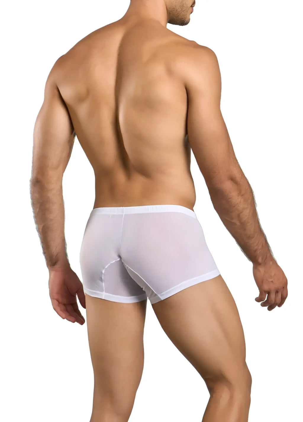 Malebasics mbl78 lace trunks white mesh sheer boxer briefs with solid white waistband front view