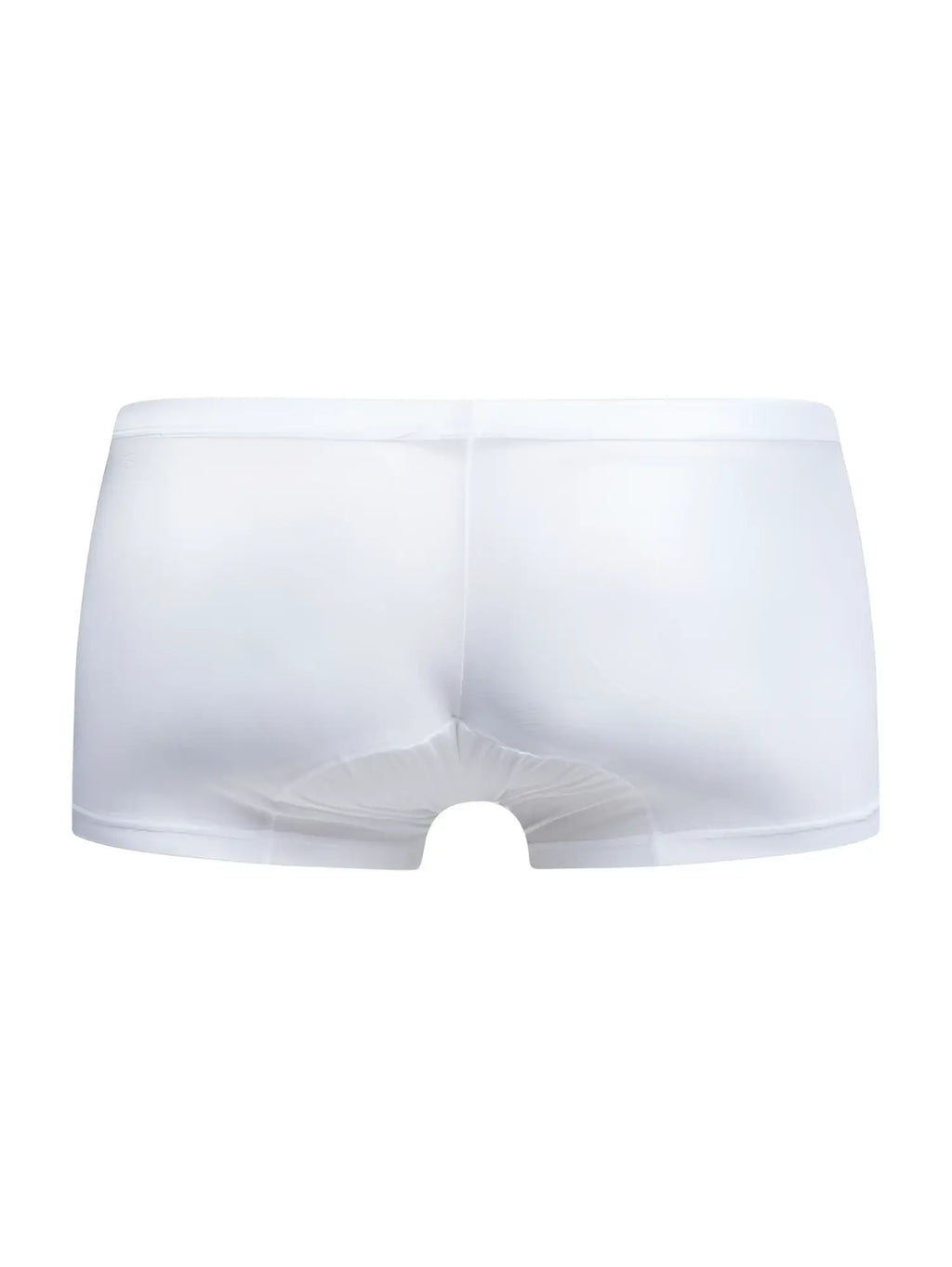 Malebasics mbl78 lace trunks white mesh briefs featuring sheer fabric and smooth elastic waistband