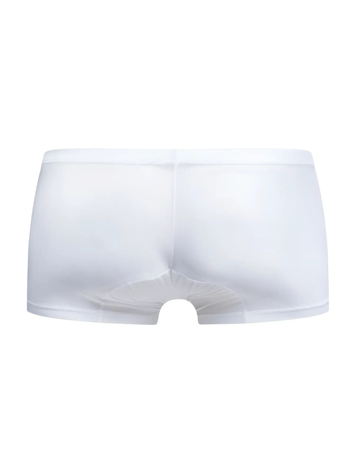 Malebasics mbl78 lace trunks white mesh briefs featuring sheer fabric and smooth elastic waistband