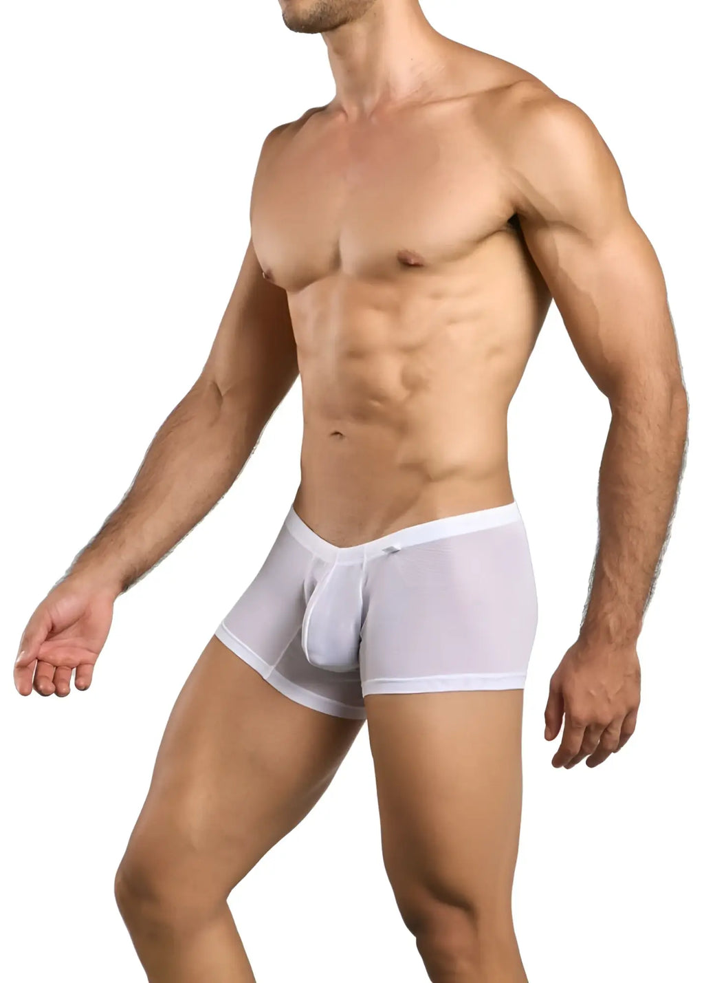 Malebasics mbl78 lace trunks white sheer mesh briefs with solid white waistband front view