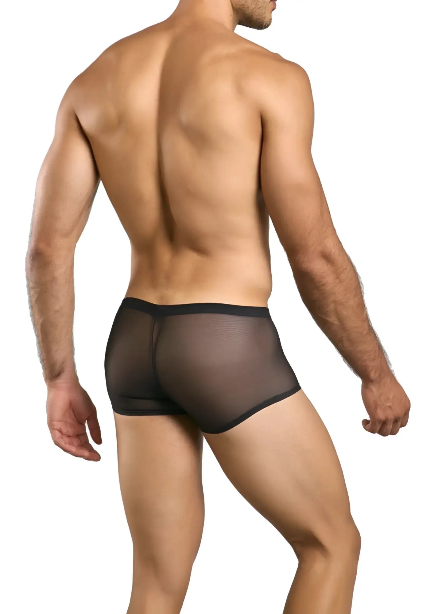 Malebasics mbl84 classic pouch trunks in black mesh sheer briefs with solid black waistband front view