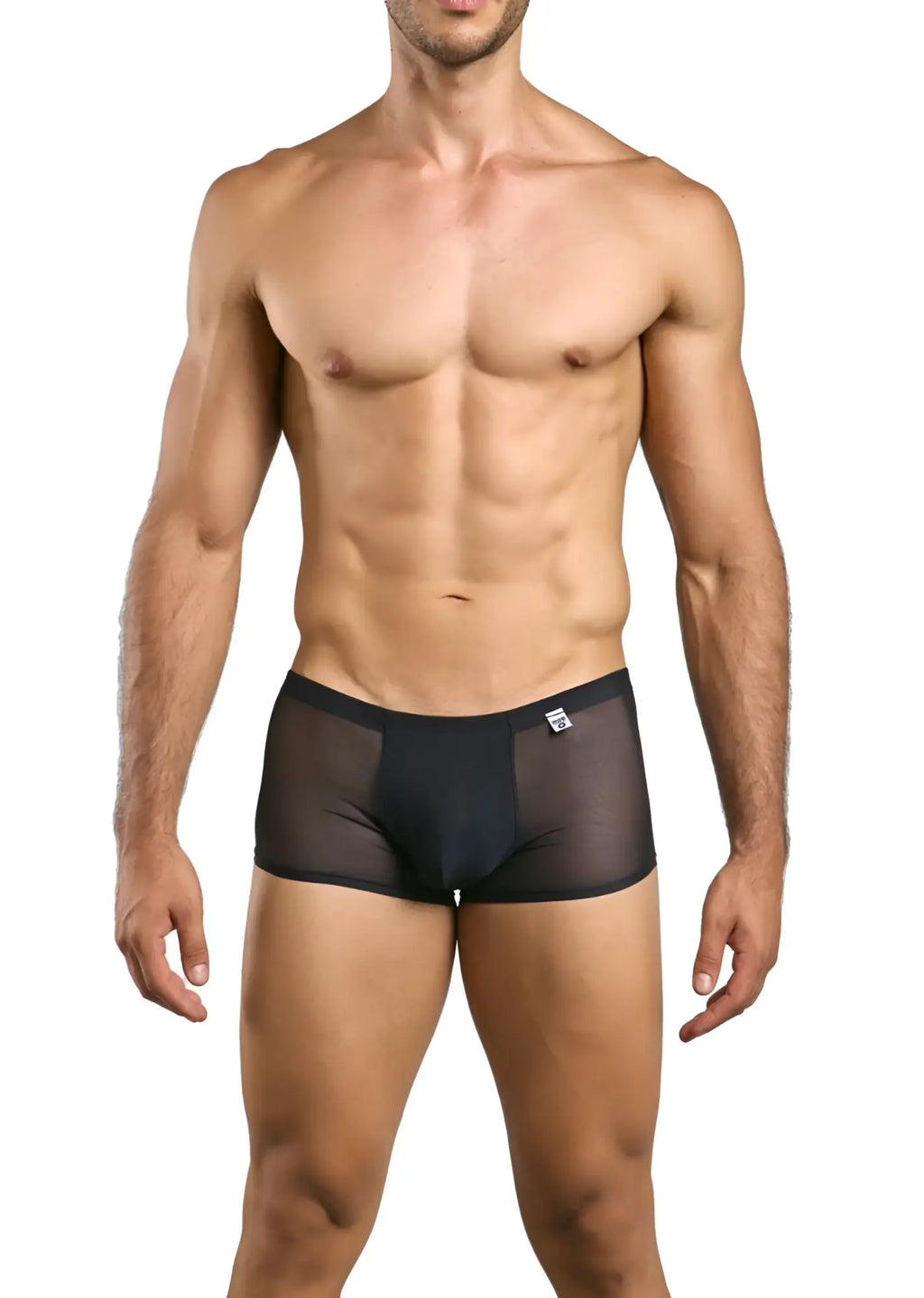 Malebasics mbl84 classic pouch trunks in black mesh sheer briefs with solid waistband and small white logo on front