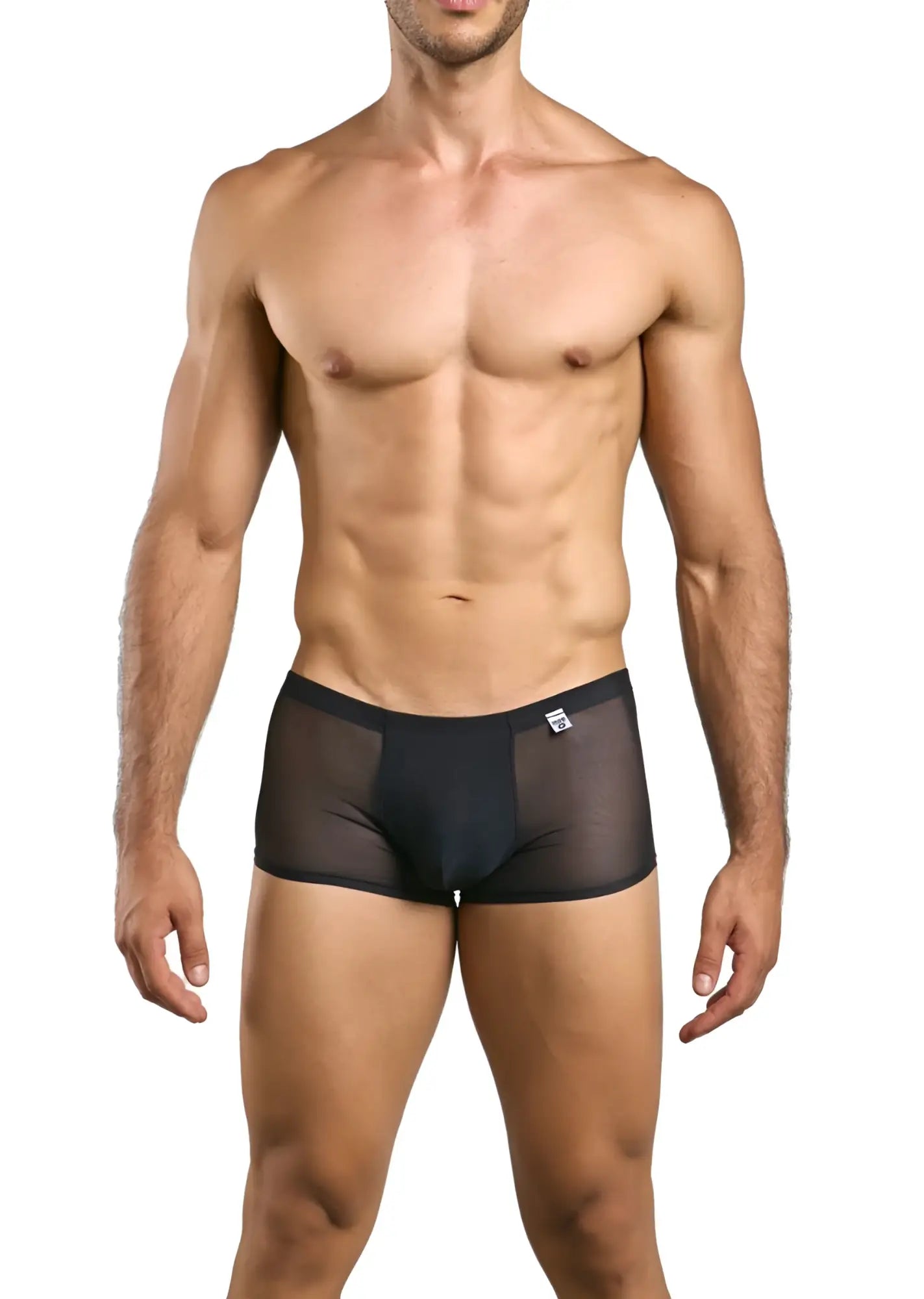 Malebasics mbl84 classic pouch trunks in black mesh sheer briefs with solid waistband and small white logo on front