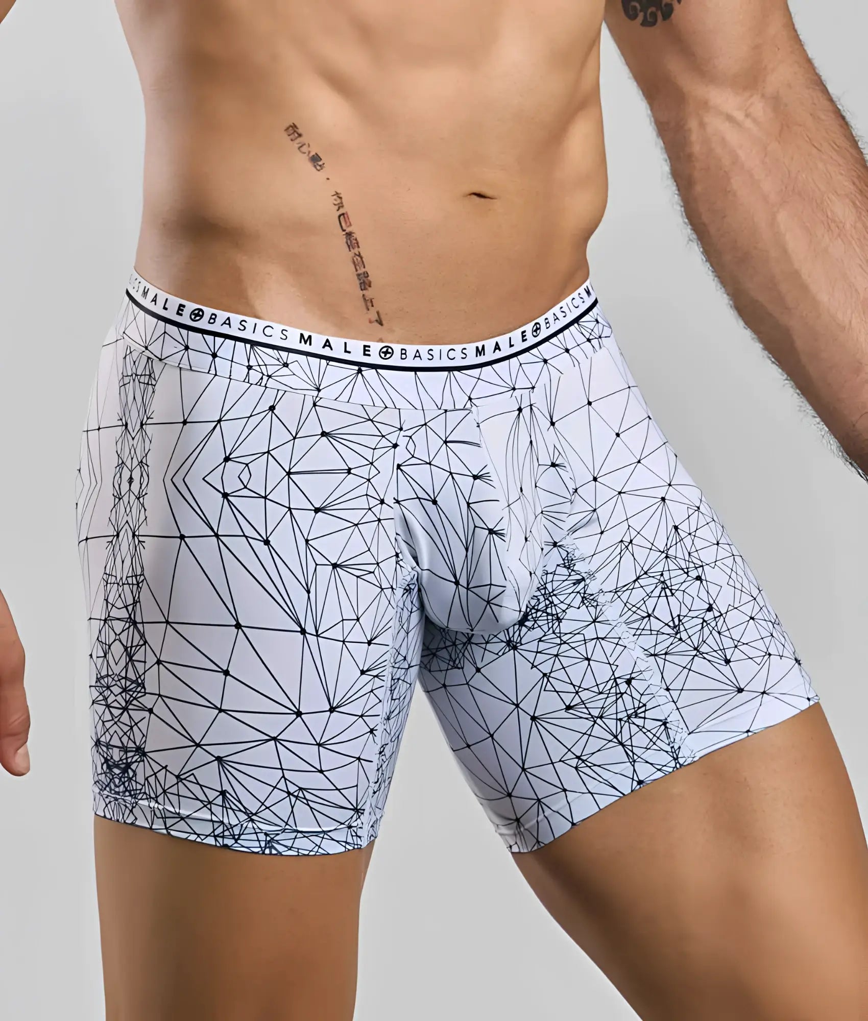 Malebasics new hipster boxer brief spider white men’s boxer briefs with dark blue geometric line pattern and basics male waistband
