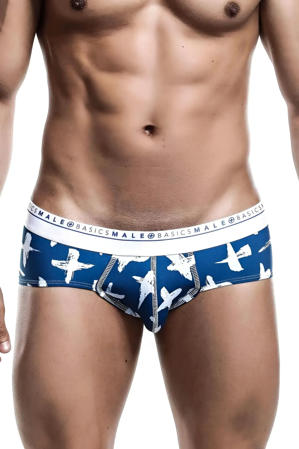 Malebasics new hipster brief santorini blue and white patterned men’s briefs featuring a repeating bird design