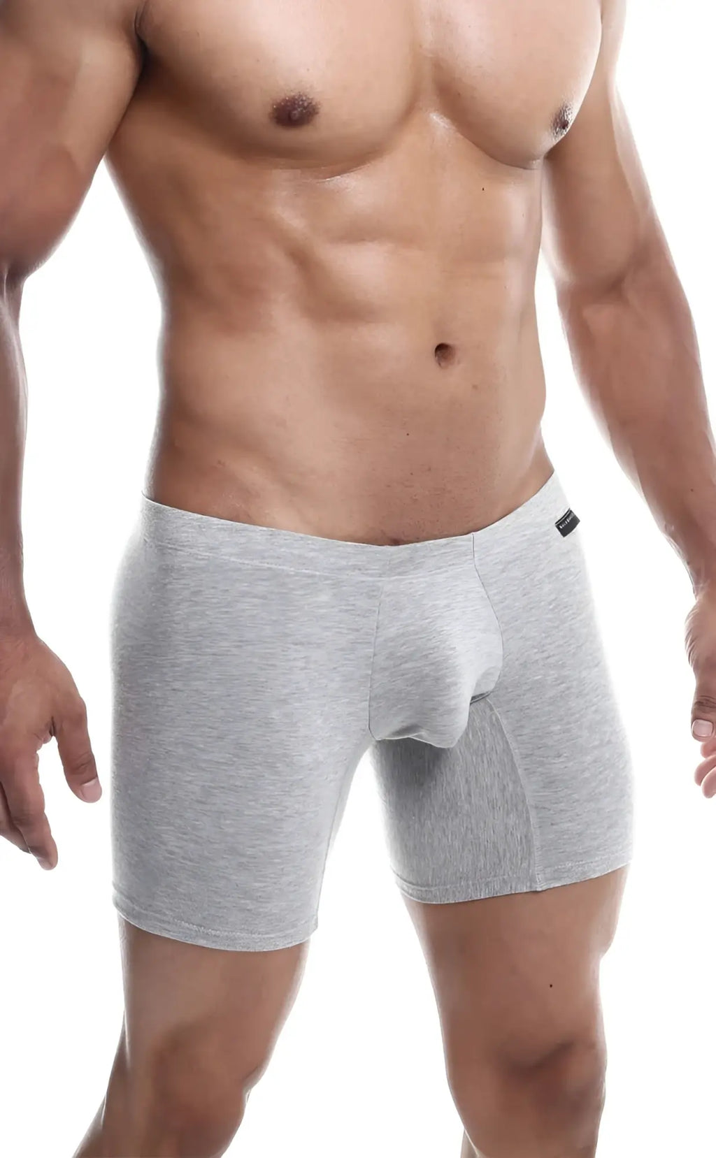 Malebasics silver plus gray heathered men’s boxer briefs with contoured pouch and elastic waistband in a 3 pack