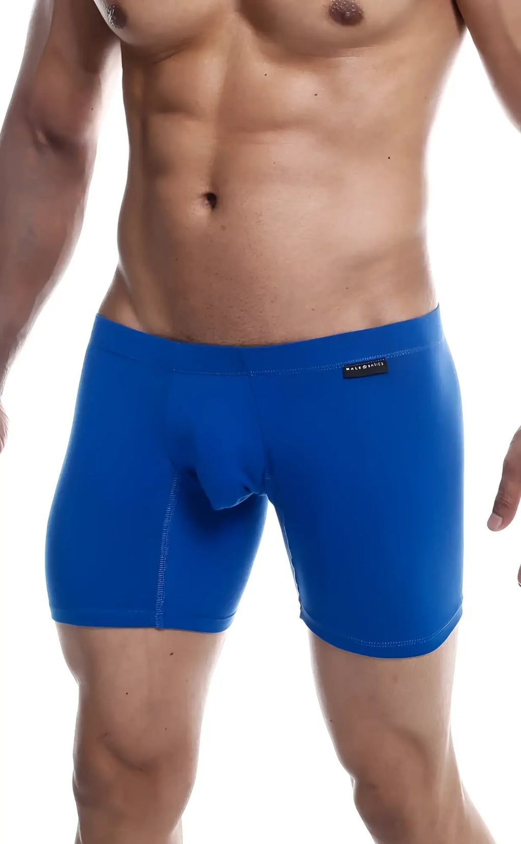 MaleBasics Silver plus bright blue boxer briefs with smooth fabric and a black brand tag on the waistband