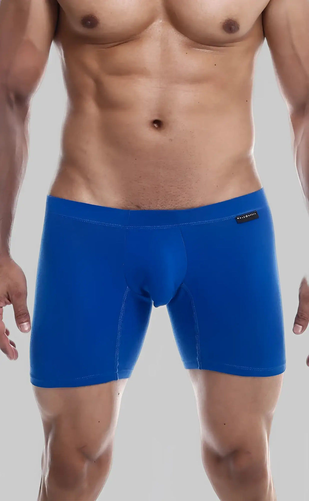 MaleBasics Silver plus vibrant blue men’s boxer briefs with smooth form-fitting fabric and subtle brand tag on waistband