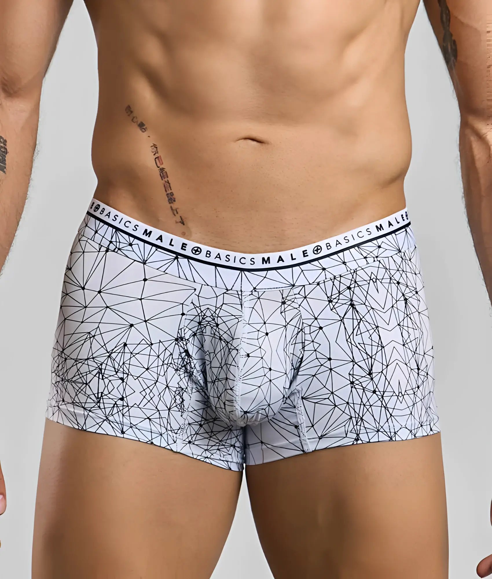 White malebasics trunk hipster spider boxer briefs with black geometric line pattern and branded waistband