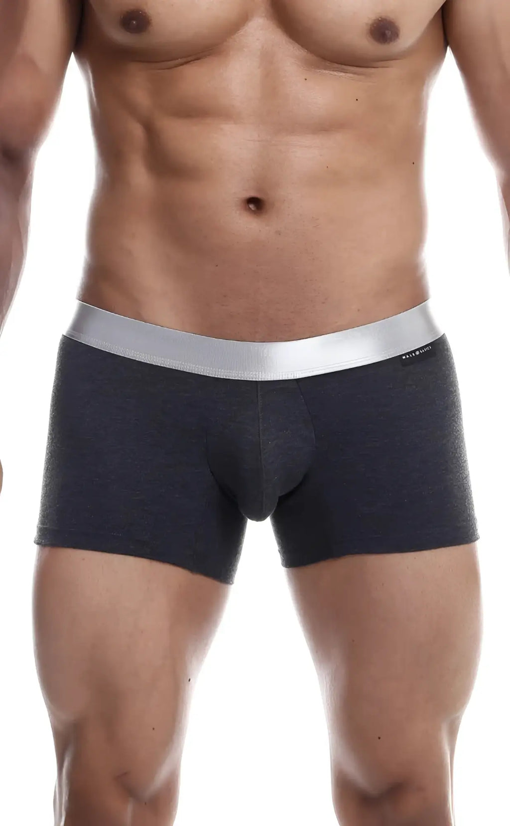 Dark gray textured MaleBasics Trunk Pima boxer briefs with sleek silver waistband made from pima cotton