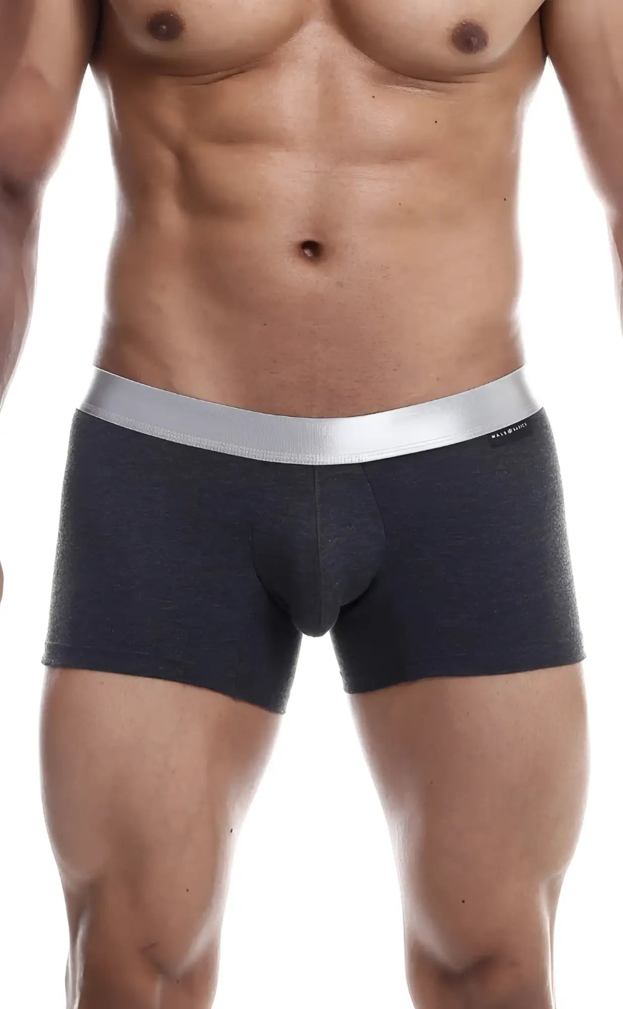 Dark gray textured MaleBasics Trunk Pima boxer briefs with sleek silver waistband made from pima cotton