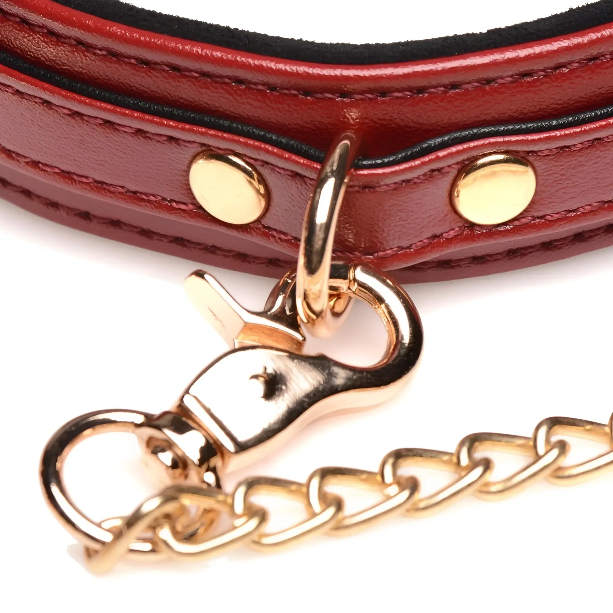 Master Series burgundy leather collar with gold-tone hardware and a matching detachable chain leash.