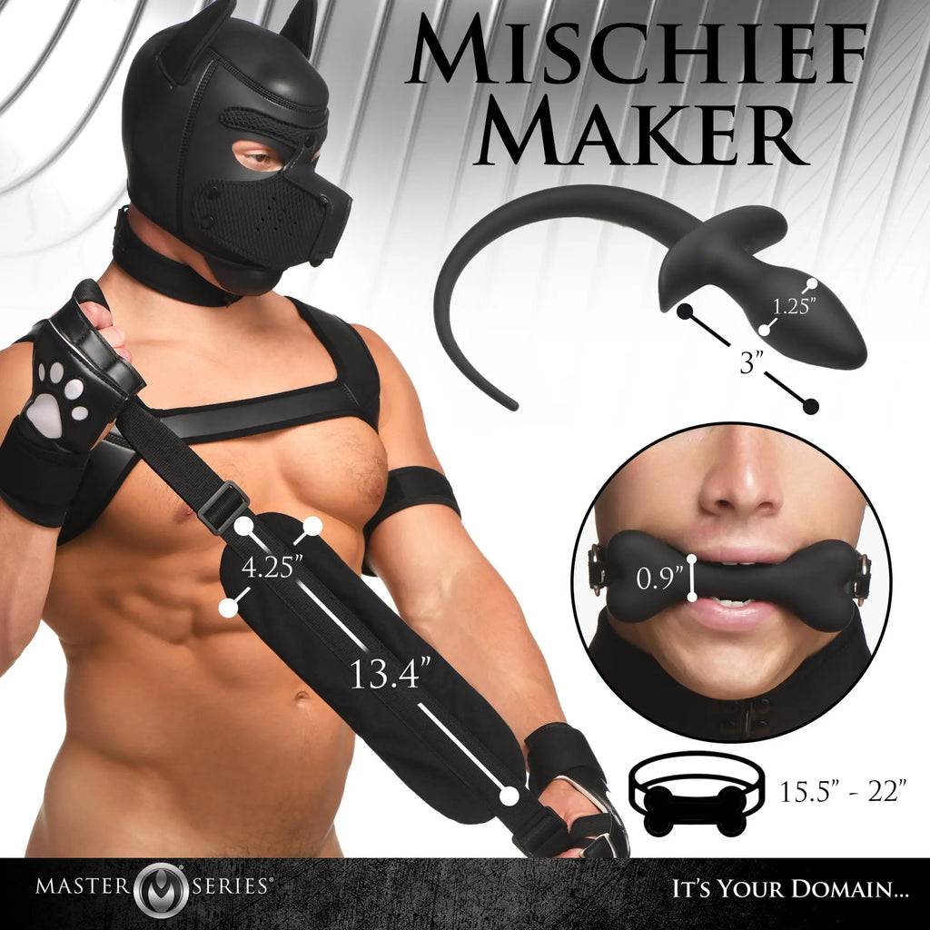 Master Series 9 Piece Deluxe Pup Arsenal: A man in a black hood, harness, and paw gloves displaying pup play gear.