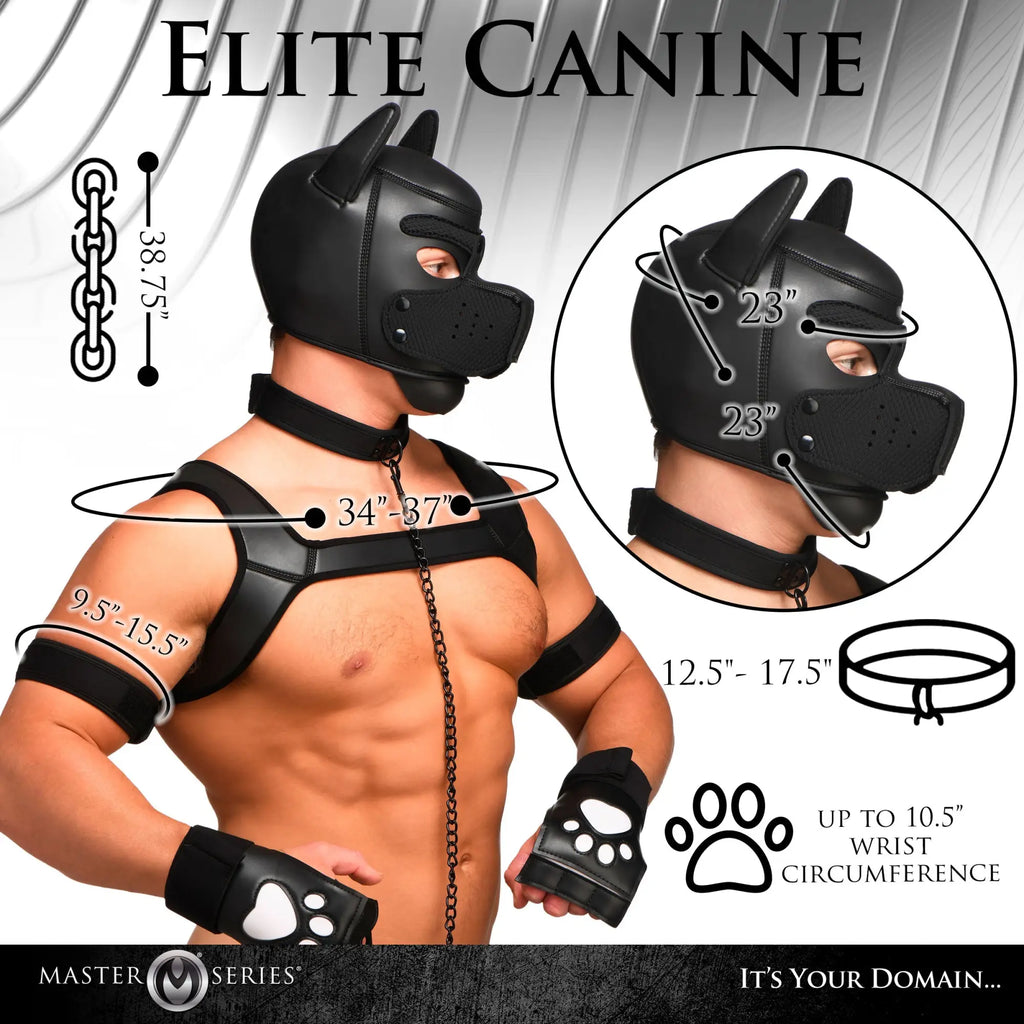 Master Series 9 Piece Deluxe Pup Arsenal Set: Black neoprene puppy hood, harness, collar, armbands, and paw gloves.