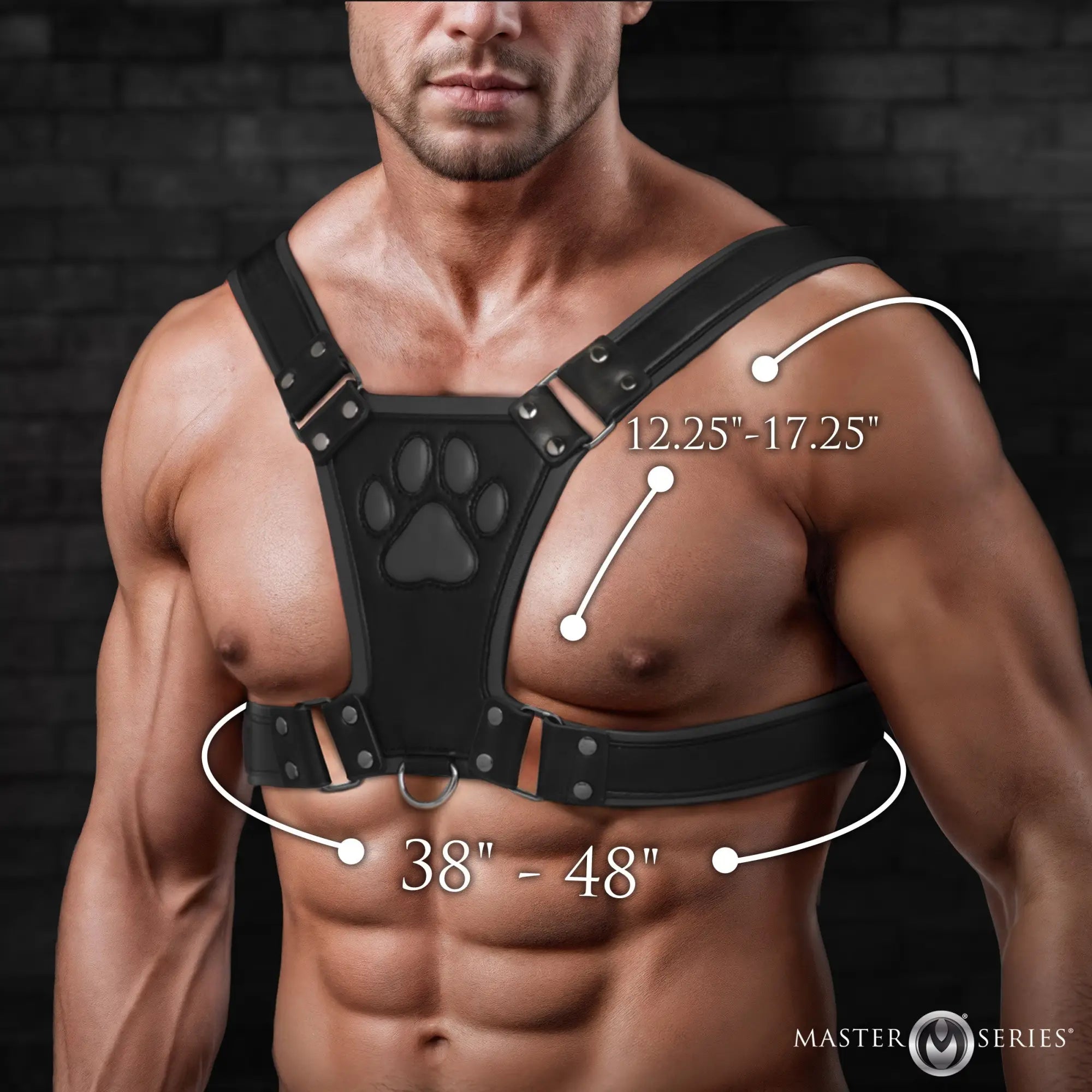 Master Series Alpha Pup Bulldog Harness: Black leather-style chest harness with a paw print design and sizing labels.