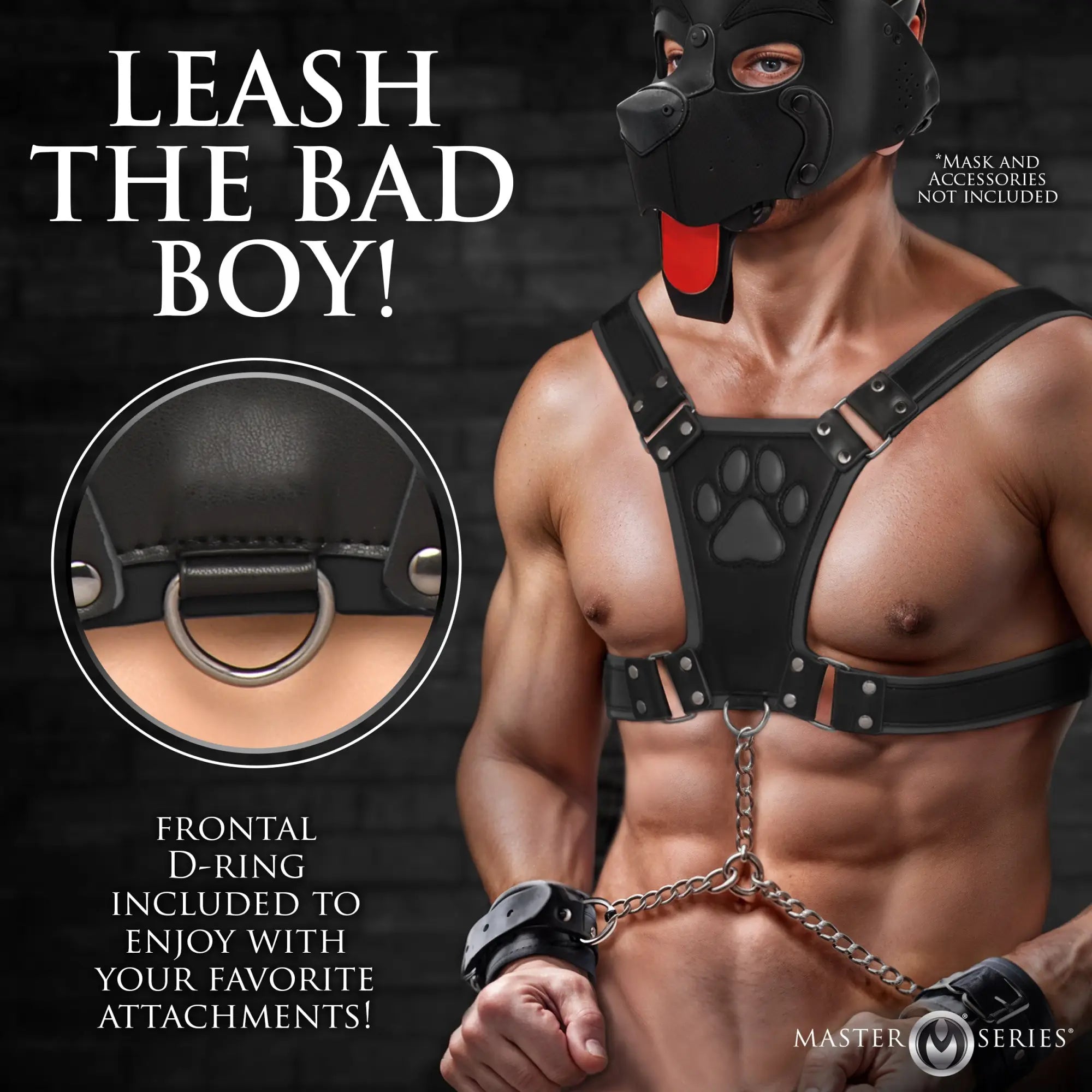 Master Series Alpha Pup Bulldog black leather chest harness featuring a paw print emblem and a central D-ring.