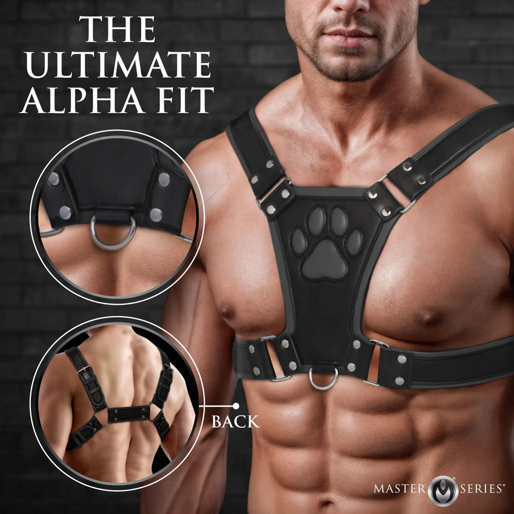 Master Series Alpha Pup Bulldog Harness: a black leather chest harness with a paw print detail, shown on a male torso.