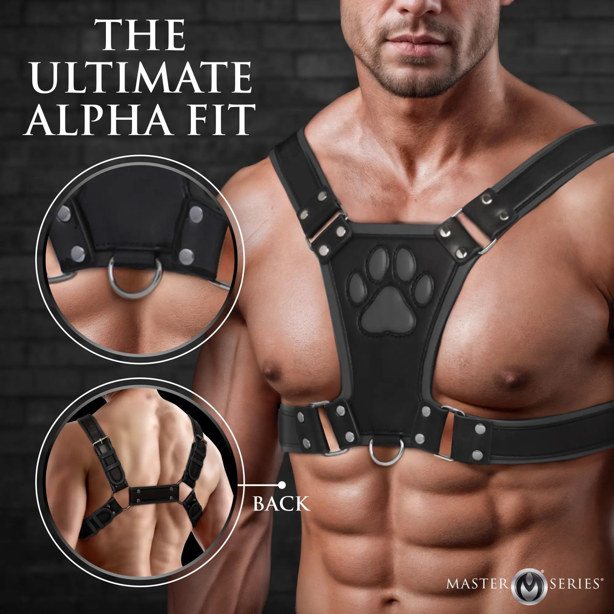 Master Series Alpha Pup Bulldog Harness: a black leather chest harness with a paw print detail, shown on a male torso.